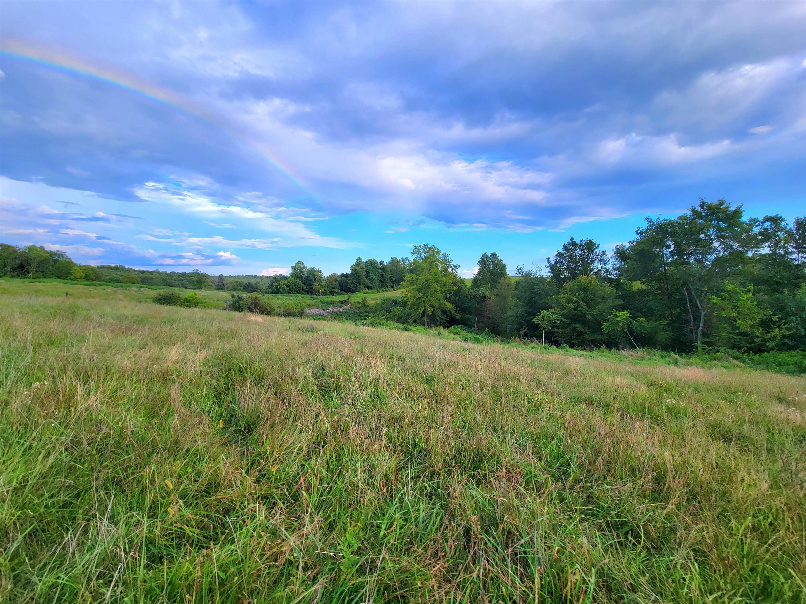 0 Sandefur Crossing, Cromwell, Kentucky 42333, ,Land,For Sale,Sandefur Crossing,90416