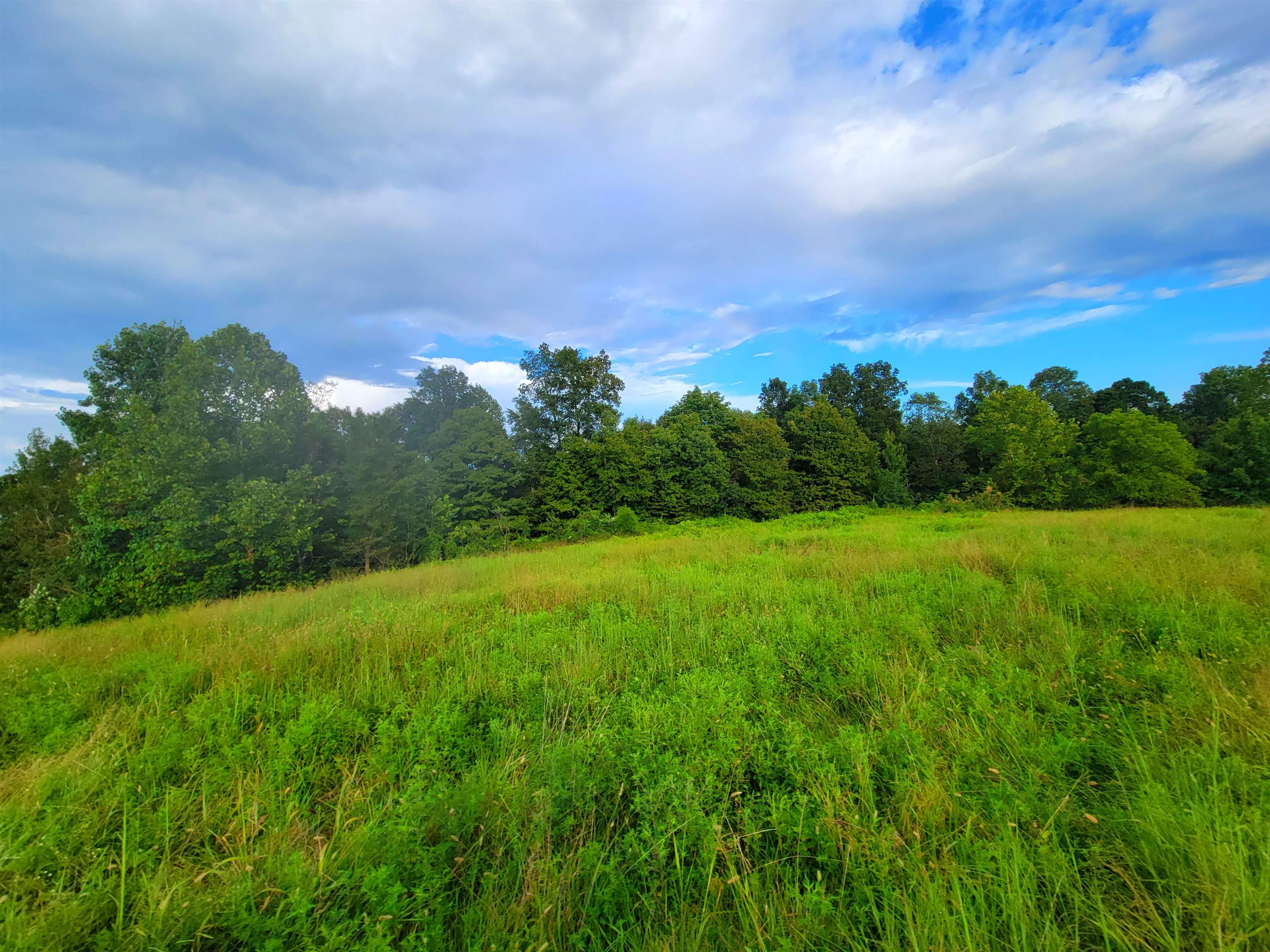 0 Sandefur Crossing, Cromwell, Kentucky 42333, ,Land,For Sale,Sandefur Crossing,90416