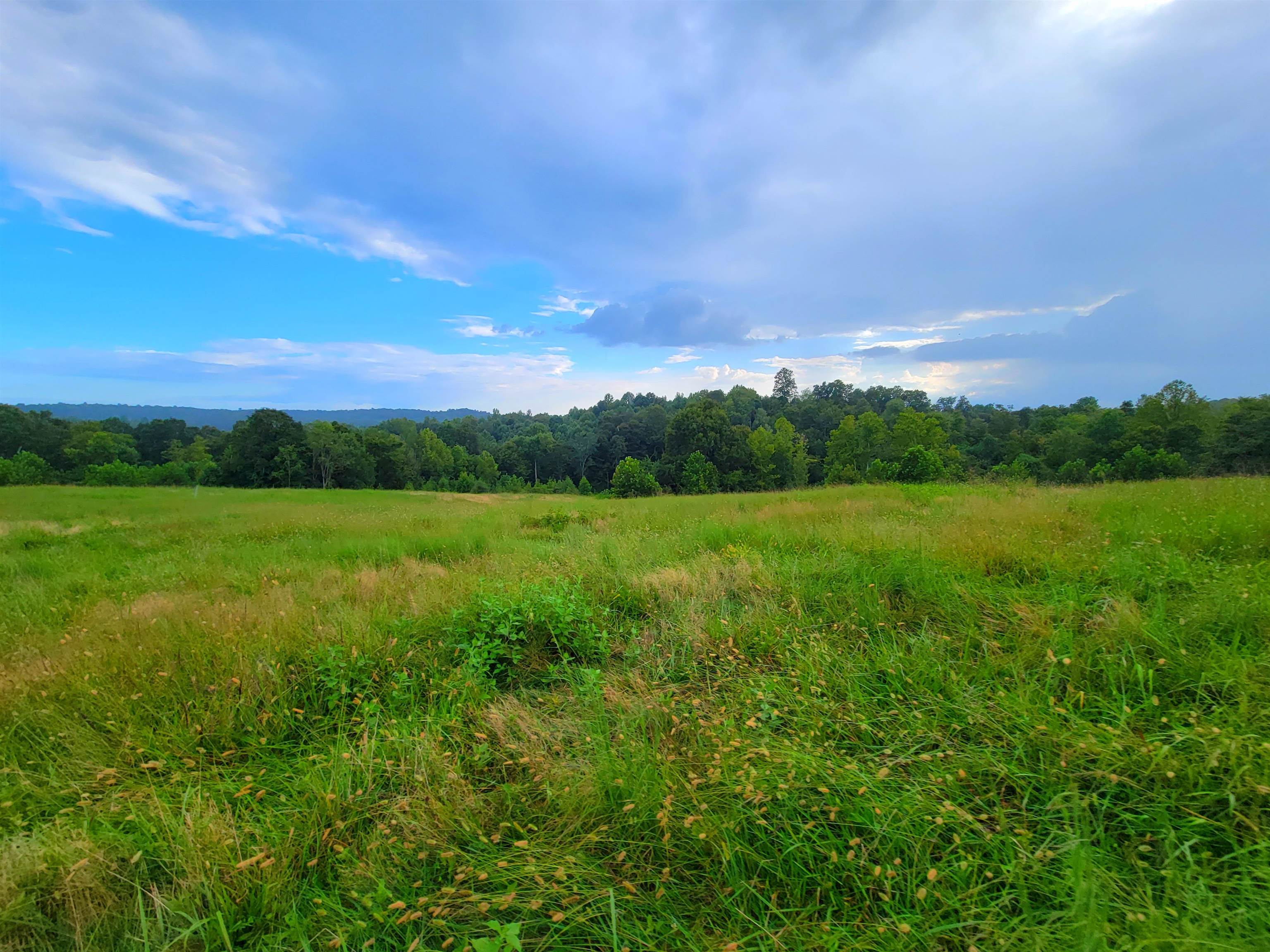 0 Sandefur Crossing, Cromwell, Kentucky 42333, ,Land,For Sale,Sandefur Crossing,90416
