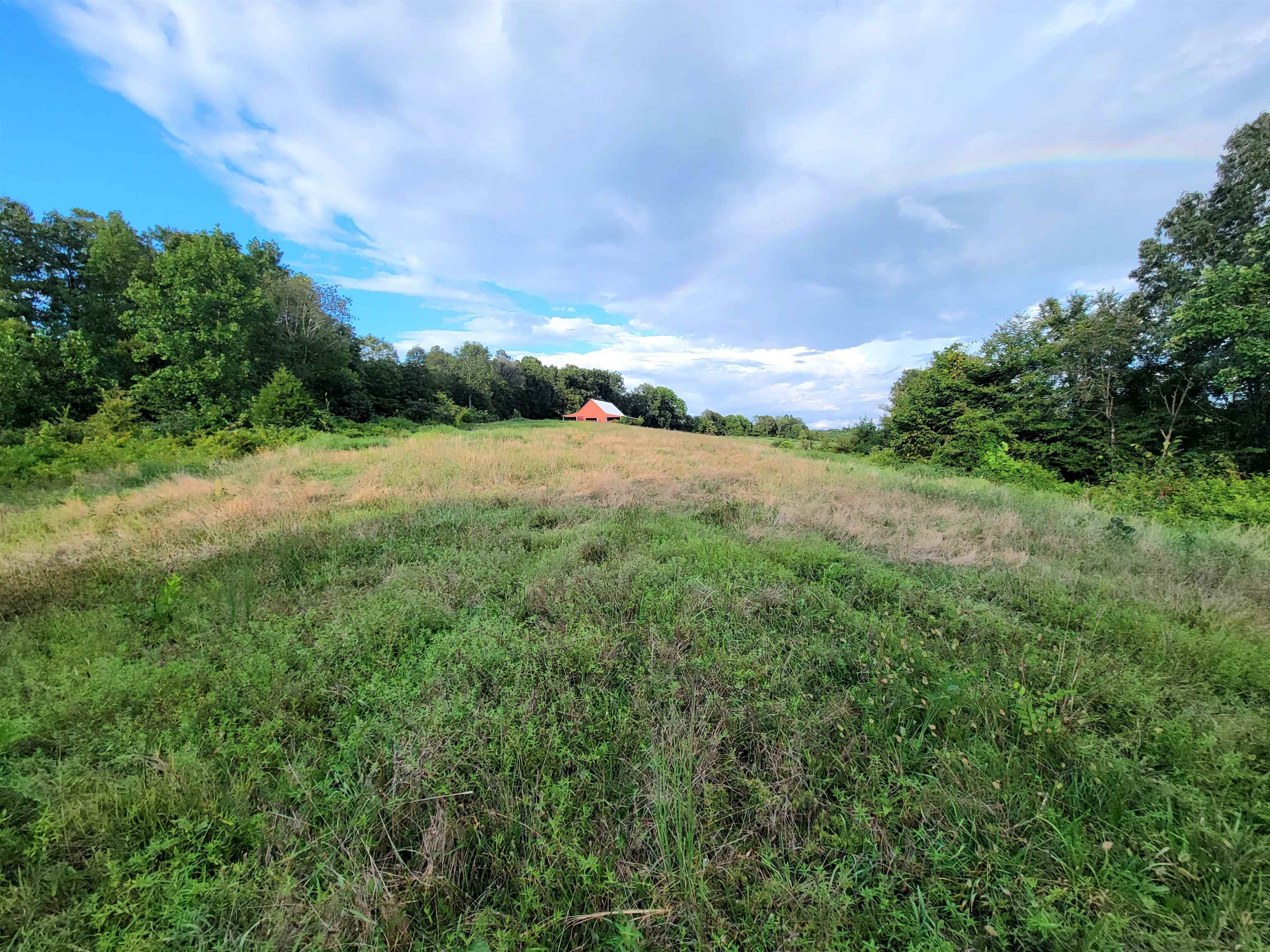 0 Sandefur Crossing, Cromwell, Kentucky 42333, ,Land,For Sale,Sandefur Crossing,90416