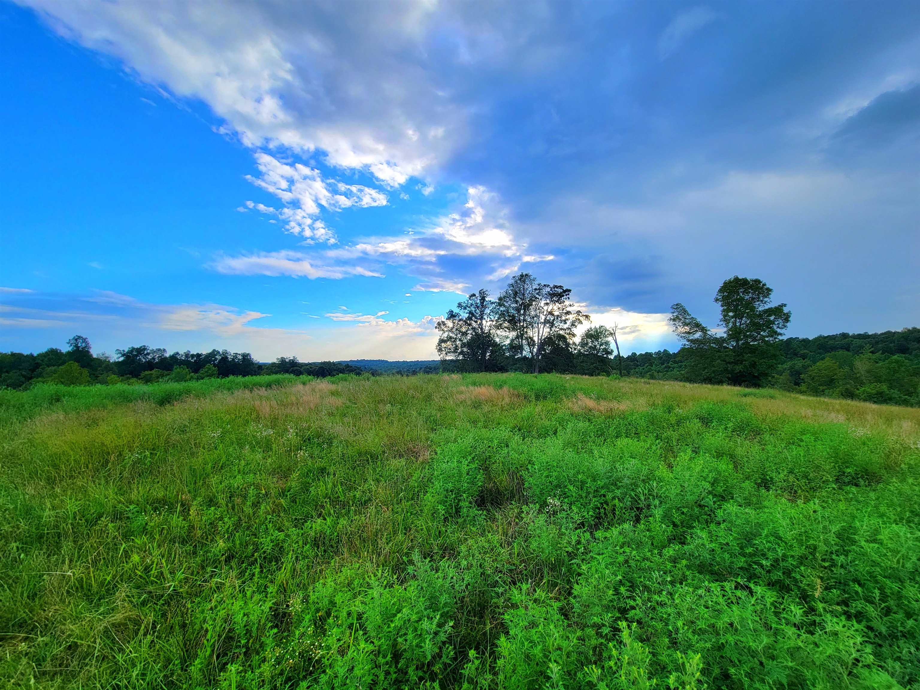0 Sandefur Crossing, Cromwell, Kentucky 42333, ,Land,For Sale,Sandefur Crossing,90416