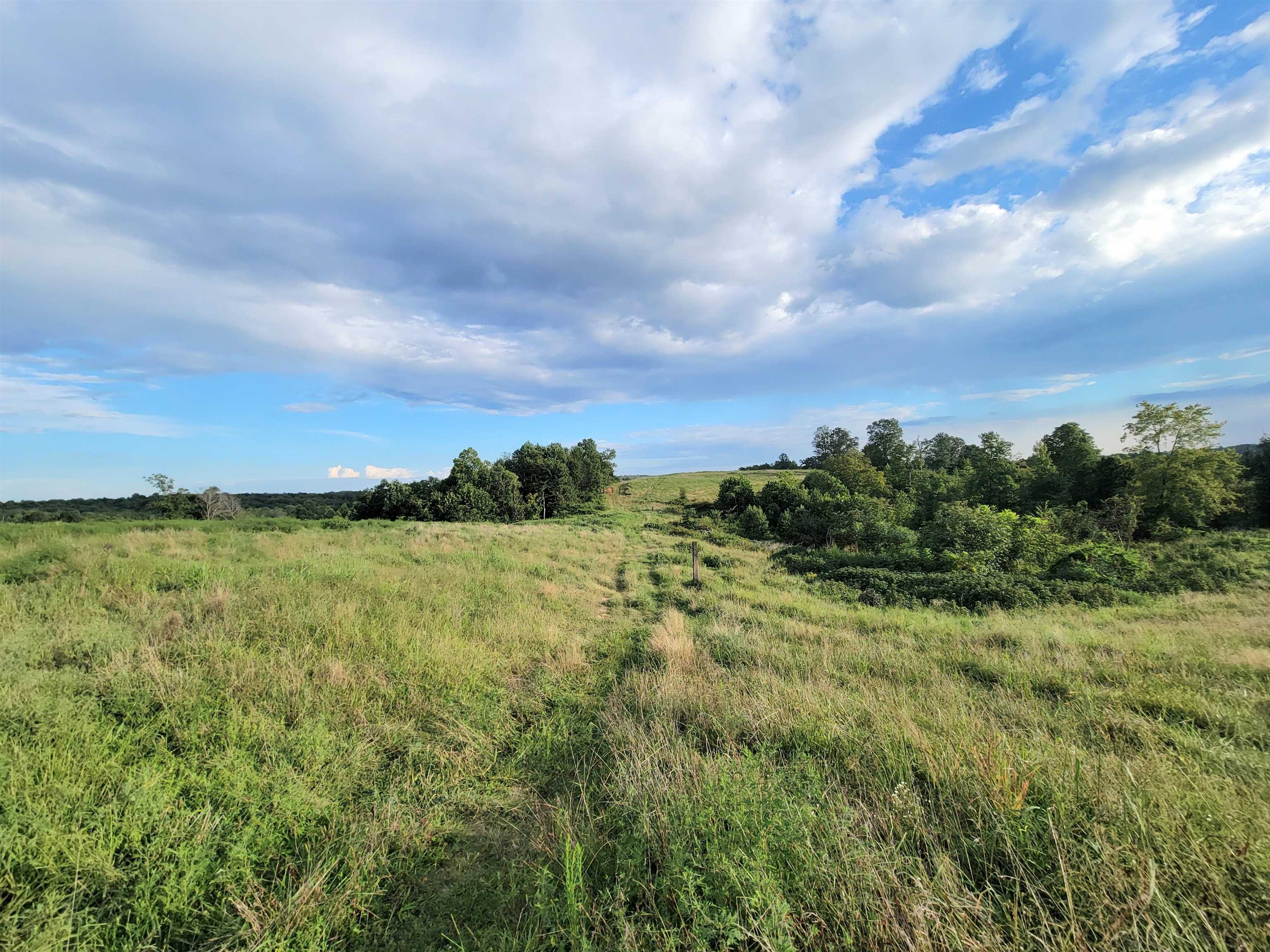 0 Sandefur Crossing, Cromwell, Kentucky 42333, ,Land,For Sale,Sandefur Crossing,90416
