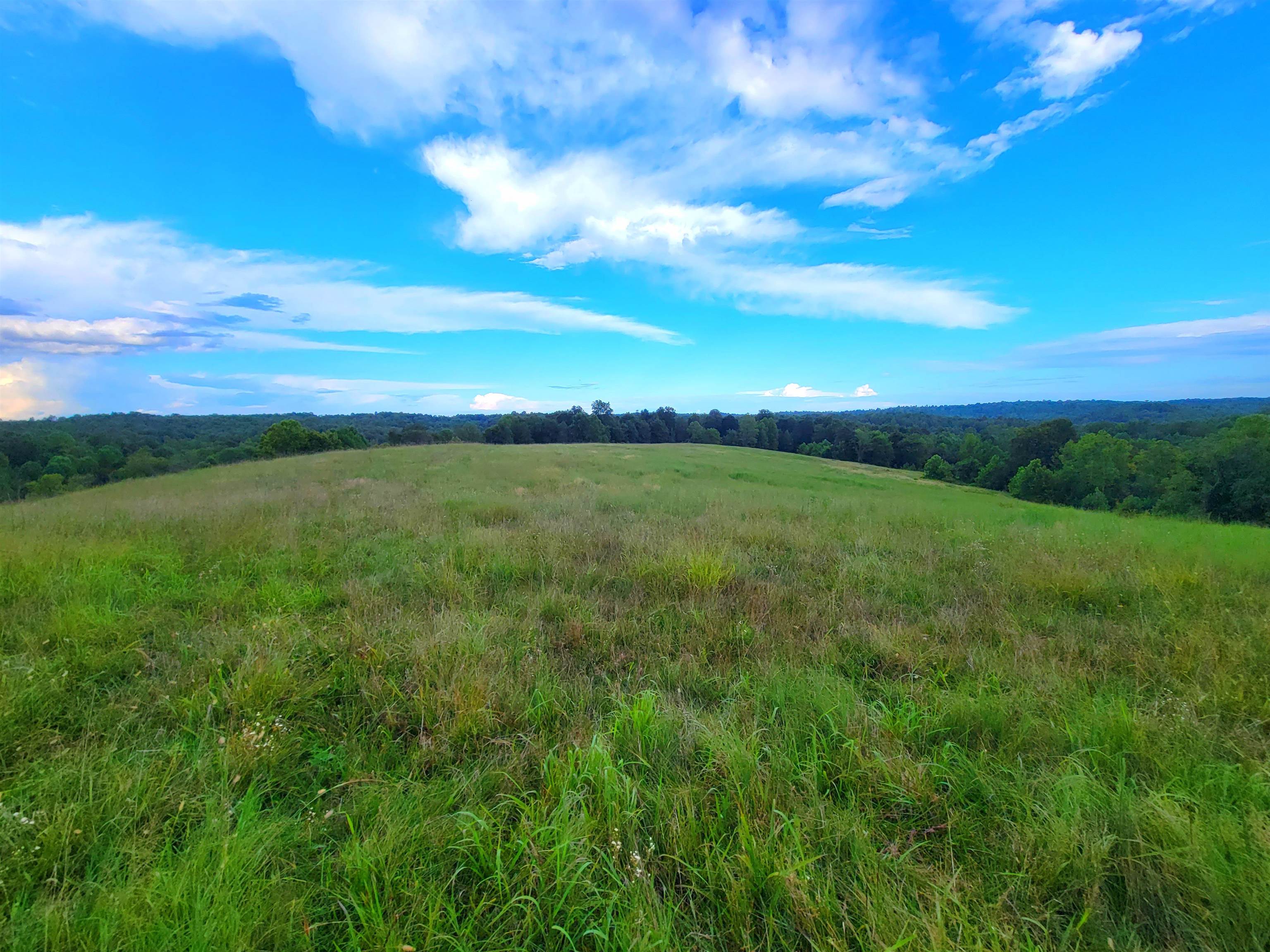 0 Sandefur Crossing, Cromwell, Kentucky 42333, ,Land,For Sale,Sandefur Crossing,90416