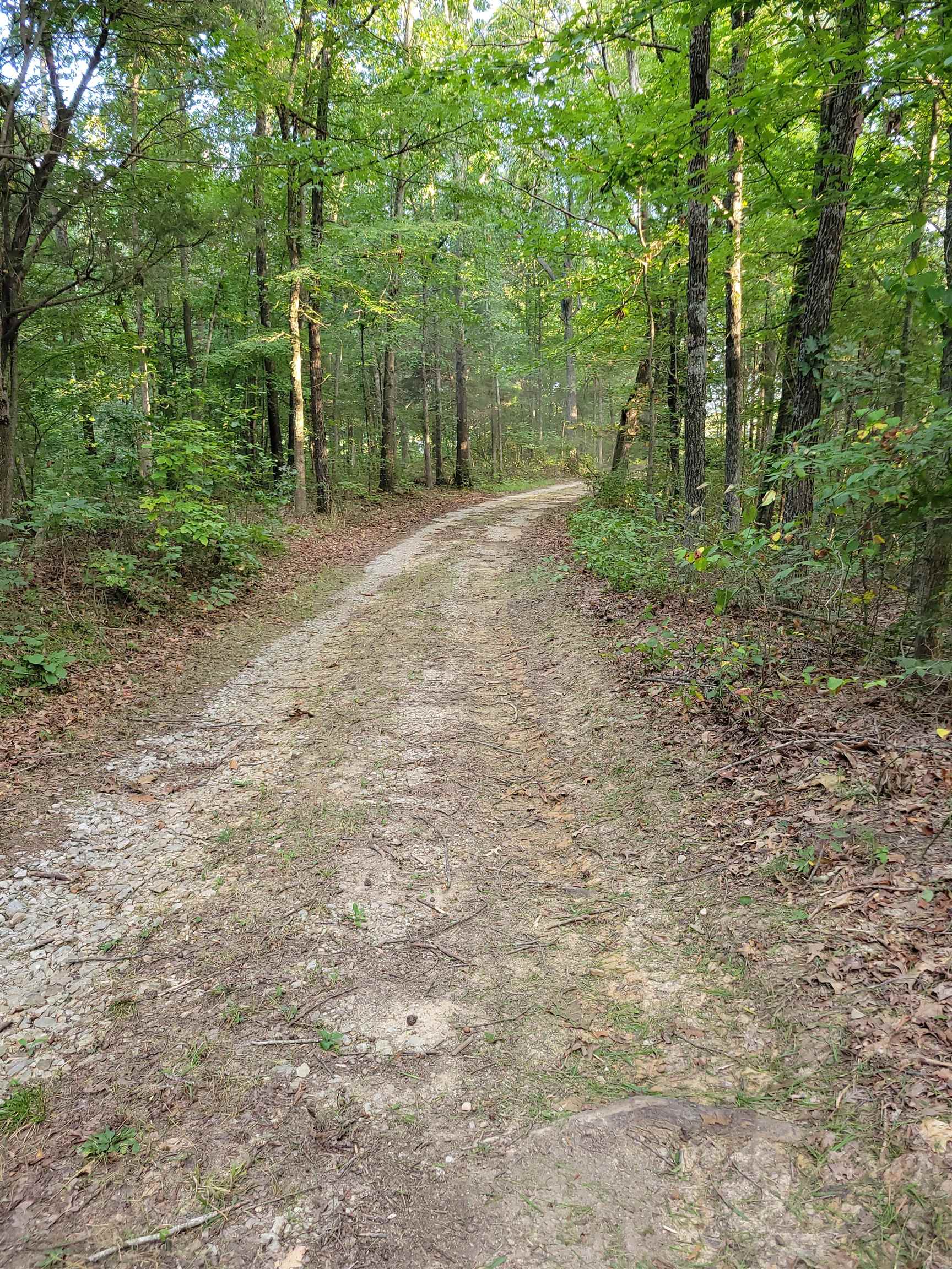 0 Sandefur Crossing, Cromwell, Kentucky 42333, ,Land,For Sale,Sandefur Crossing,90416