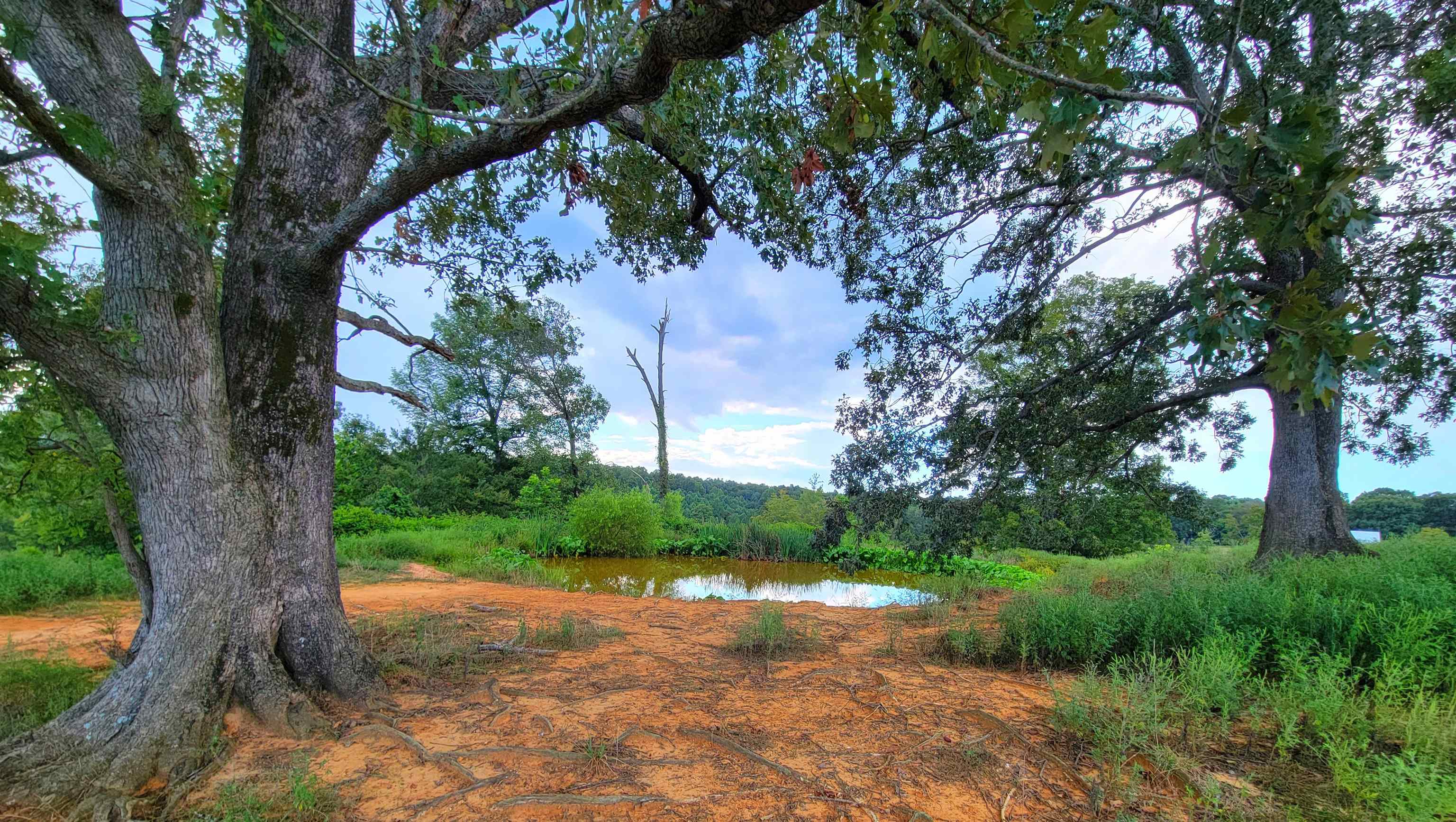0 Sandefur Crossing, Cromwell, Kentucky 42333, ,Land,For Sale,Sandefur Crossing,90416