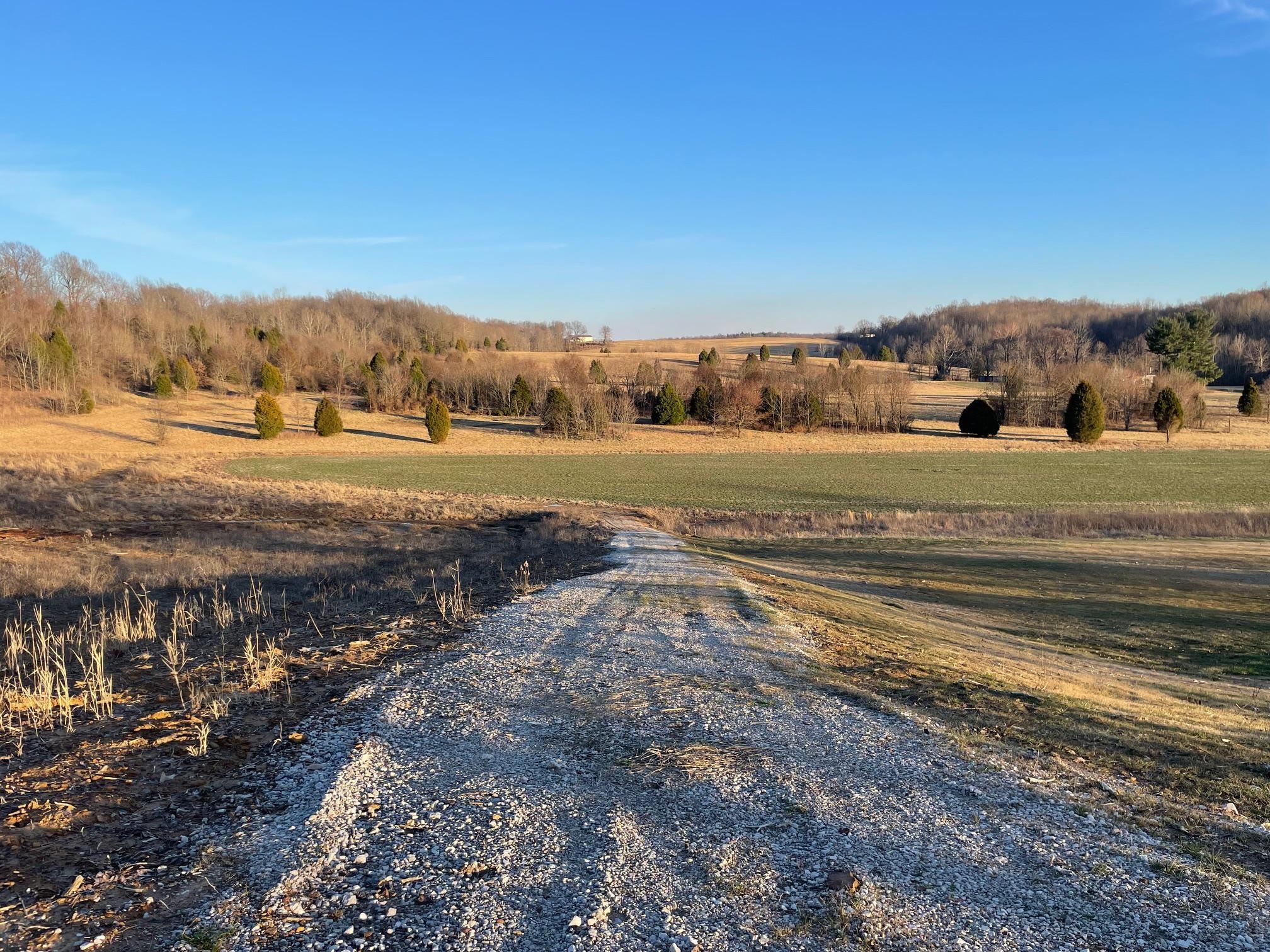 HWY 951, Knottsville, Kentucky 42366, ,Land,For Sale,HWY 951,90438