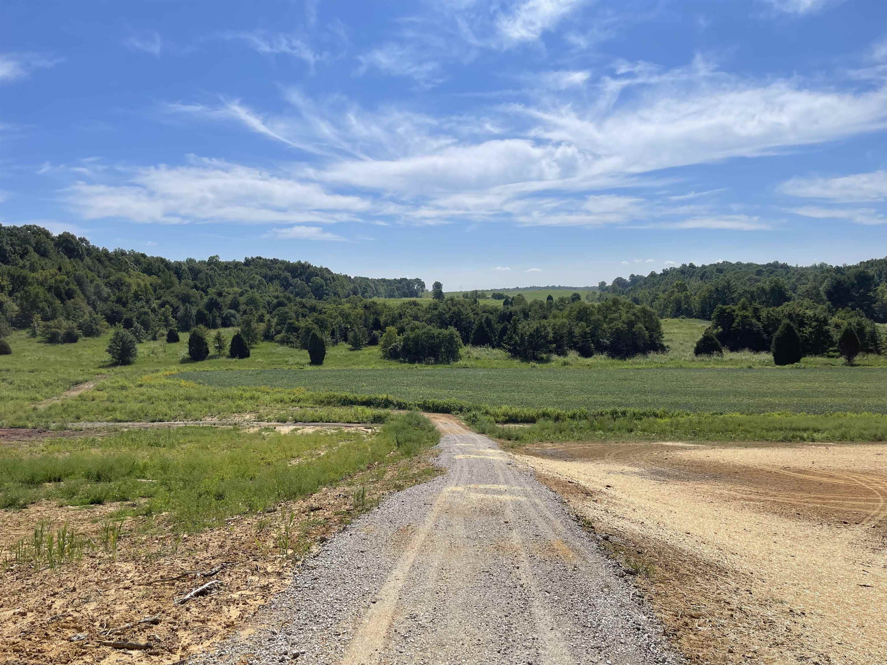 HWY 951, Knottsville, Kentucky 42366, ,Land,For Sale,HWY 951,90438