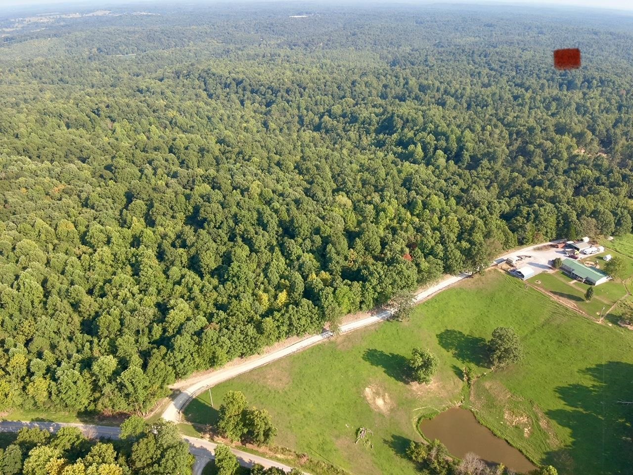 3950 Cedar Grove Rd, Hartford, Kentucky 42347, ,Land,For Sale,Cedar Grove Rd,90444