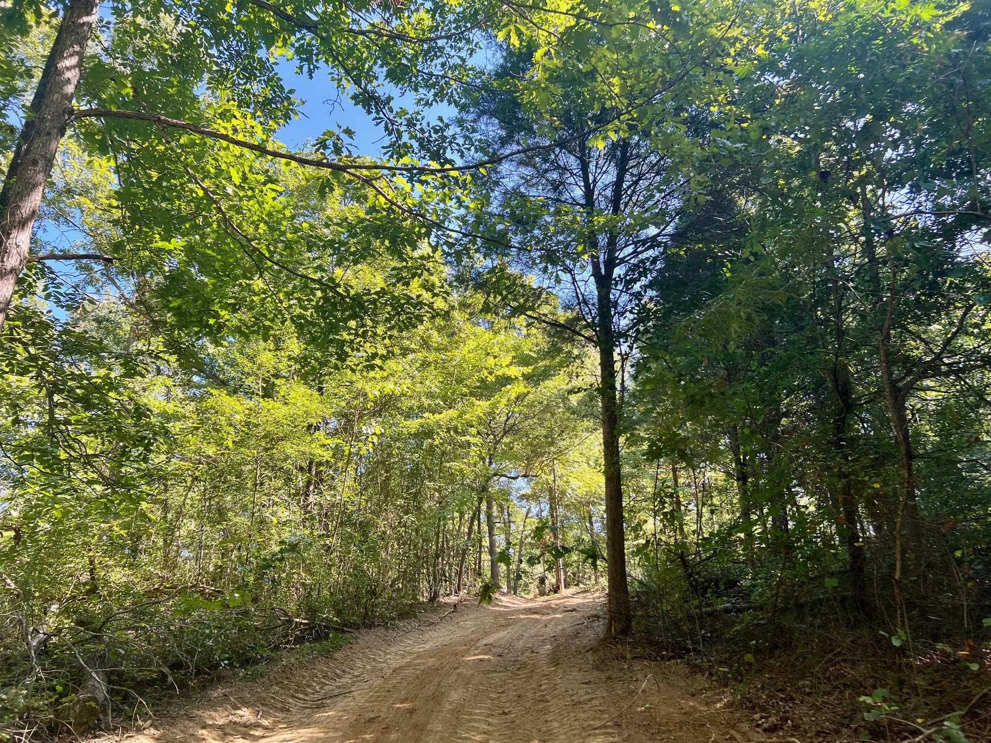3950 Cedar Grove Rd, Hartford, Kentucky 42347, ,Land,For Sale,Cedar Grove Rd,90444