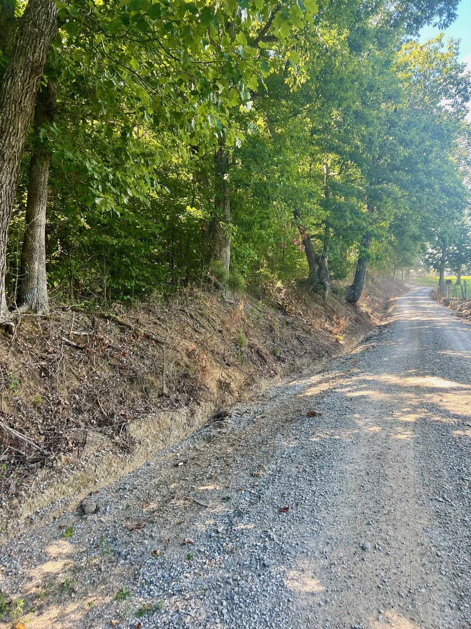 3950 Cedar Grove Rd, Hartford, Kentucky 42347, ,Land,For Sale,Cedar Grove Rd,90444