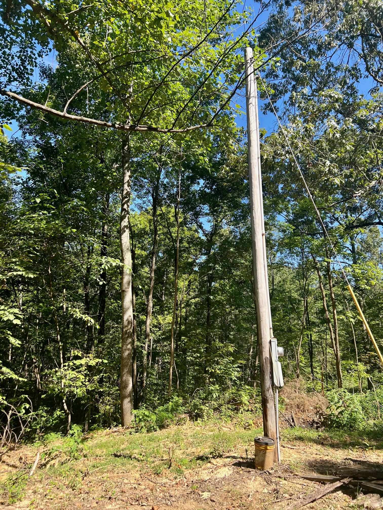 3950 Cedar Grove Rd, Hartford, Kentucky 42347, ,Land,For Sale,Cedar Grove Rd,90444