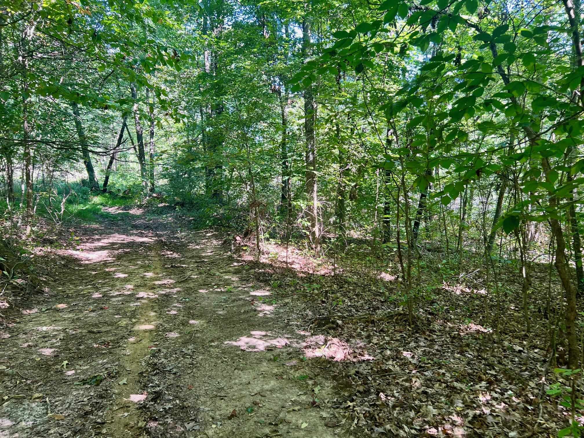 3950 Cedar Grove Rd, Hartford, Kentucky 42347, ,Land,For Sale,Cedar Grove Rd,90444