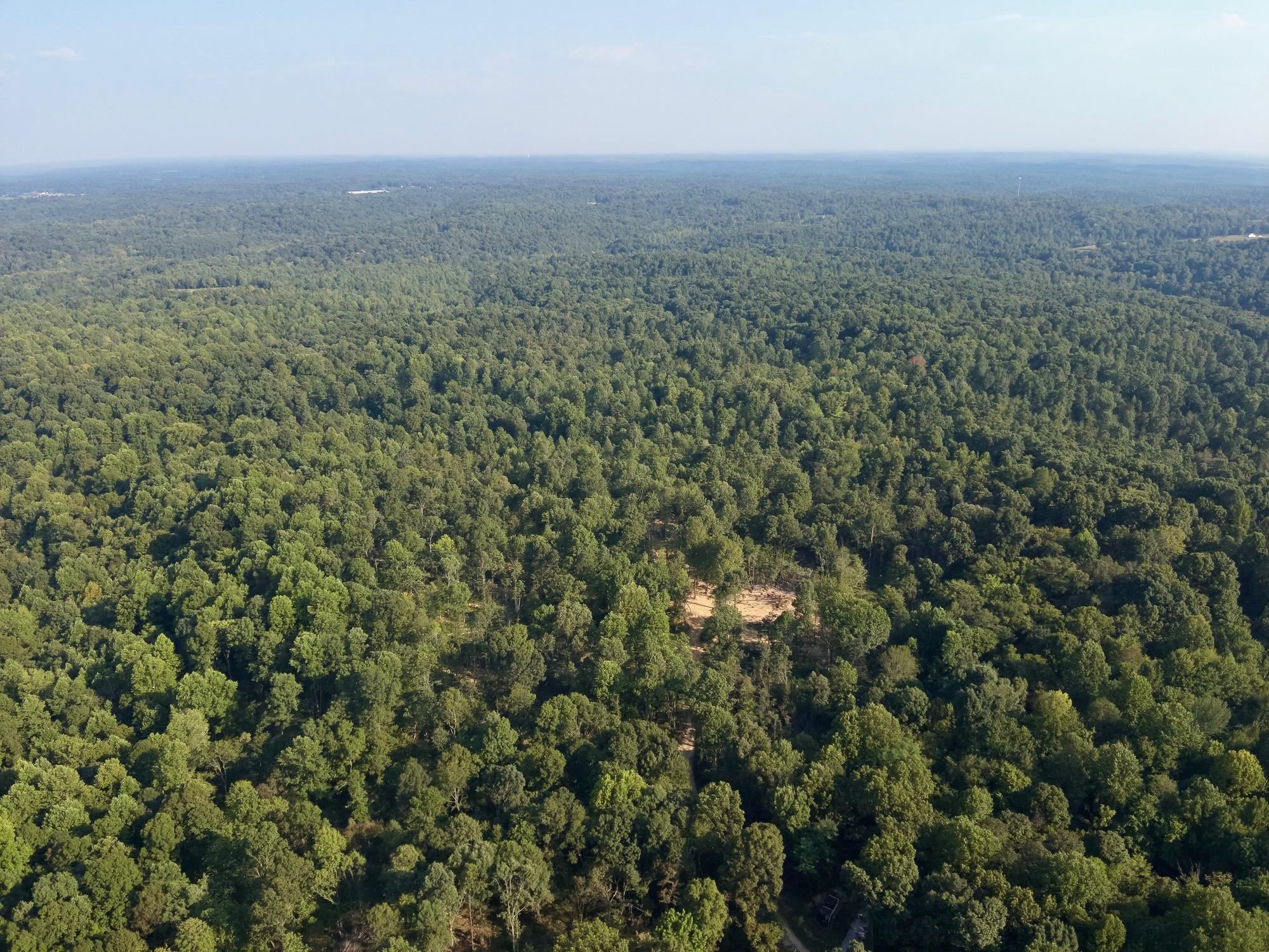 3950 Cedar Grove Rd, Hartford, Kentucky 42347, ,Land,For Sale,Cedar Grove Rd,90444