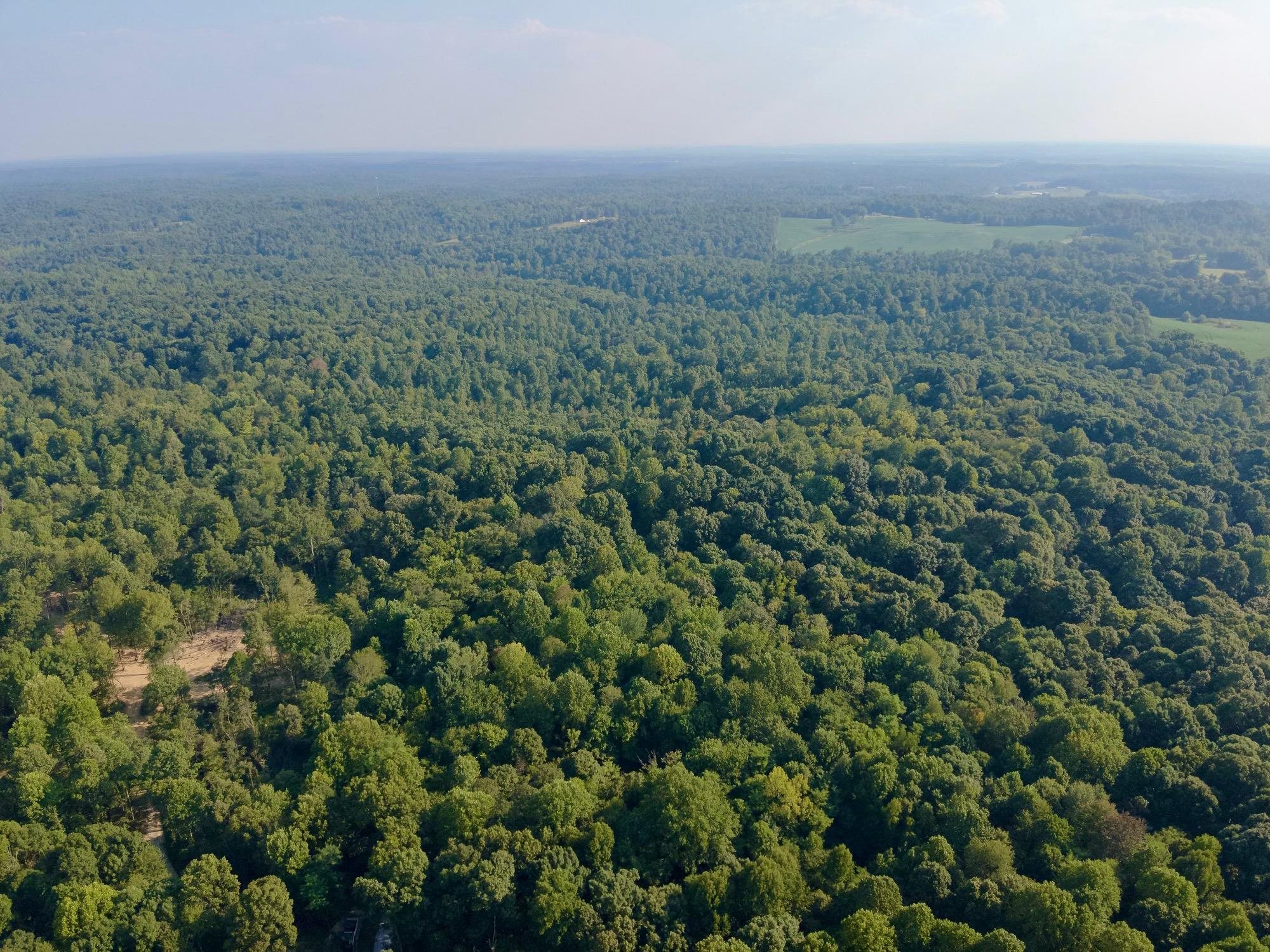3950 Cedar Grove Rd, Hartford, Kentucky 42347, ,Land,For Sale,Cedar Grove Rd,90444