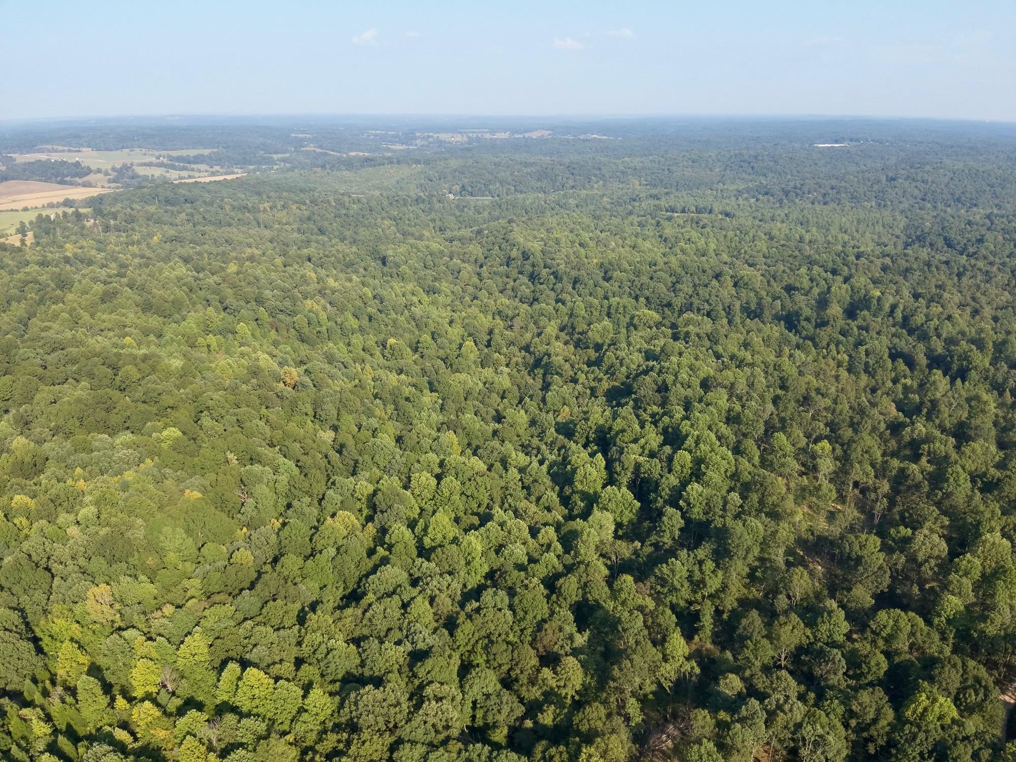 3950 Cedar Grove Rd, Hartford, Kentucky 42347, ,Land,For Sale,Cedar Grove Rd,90444