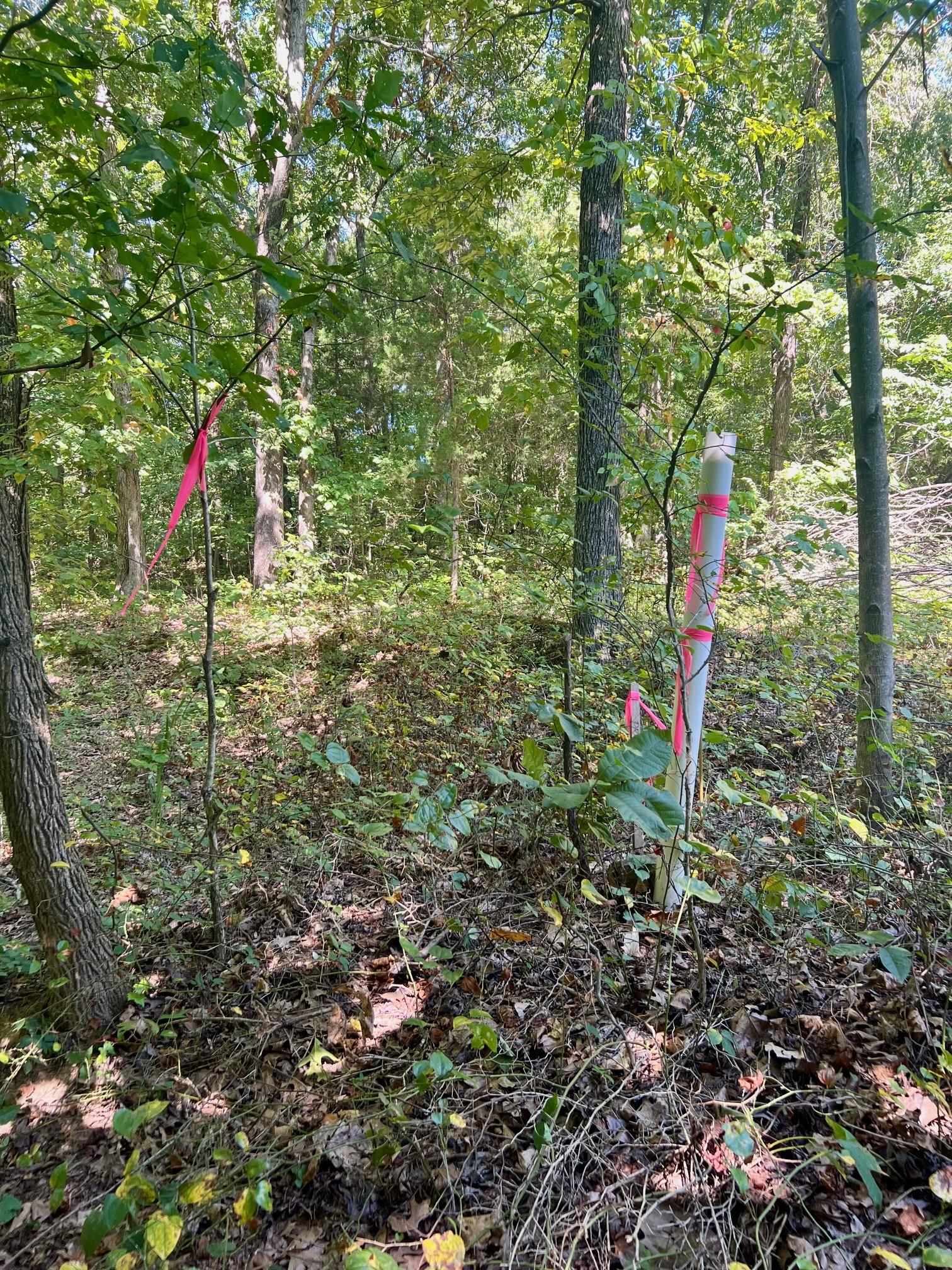 3950 Cedar Grove Rd, Hartford, Kentucky 42347, ,Land,For Sale,Cedar Grove Rd,90444