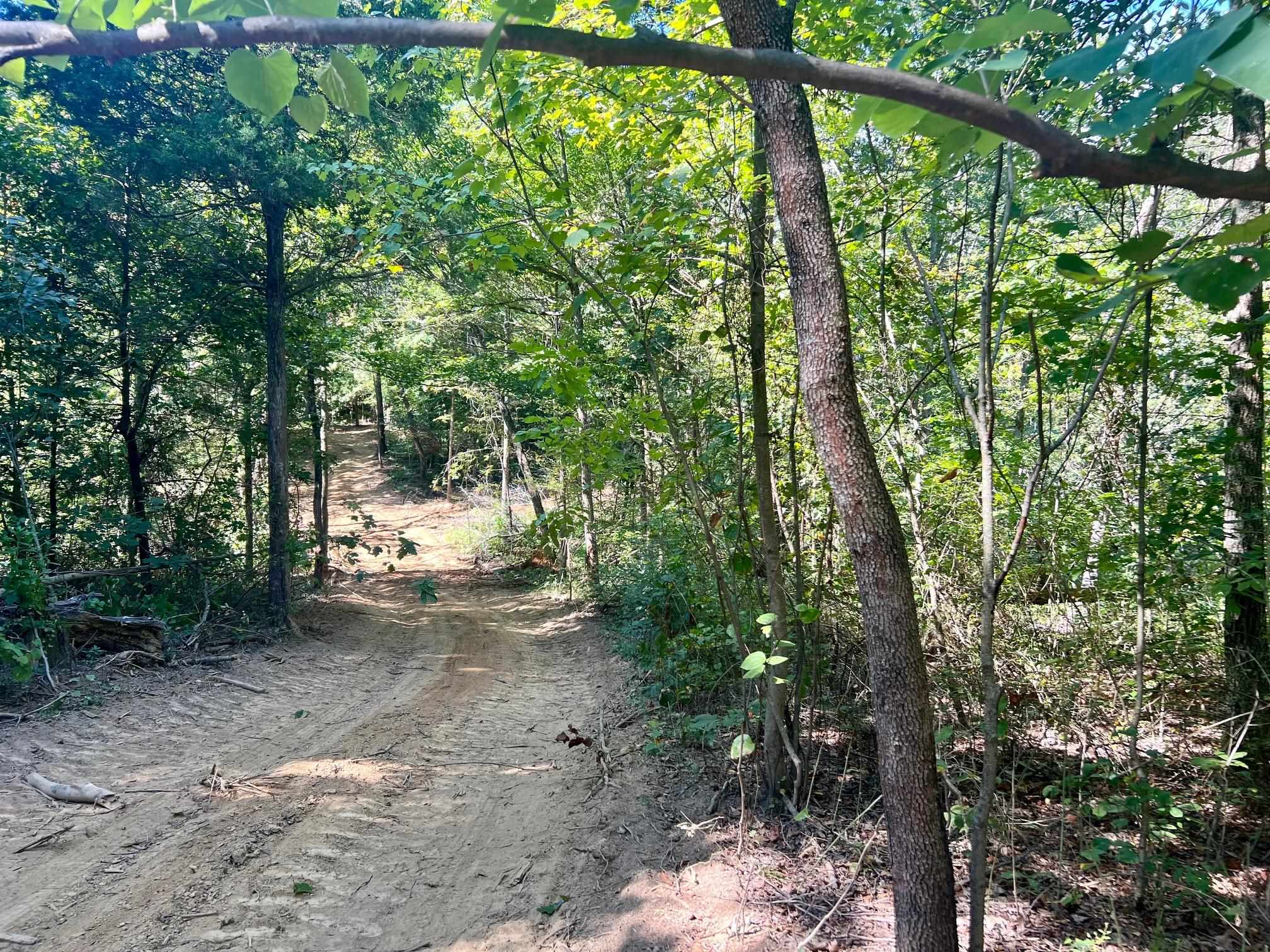 3950 Cedar Grove Rd, Hartford, Kentucky 42347, ,Land,For Sale,Cedar Grove Rd,90444