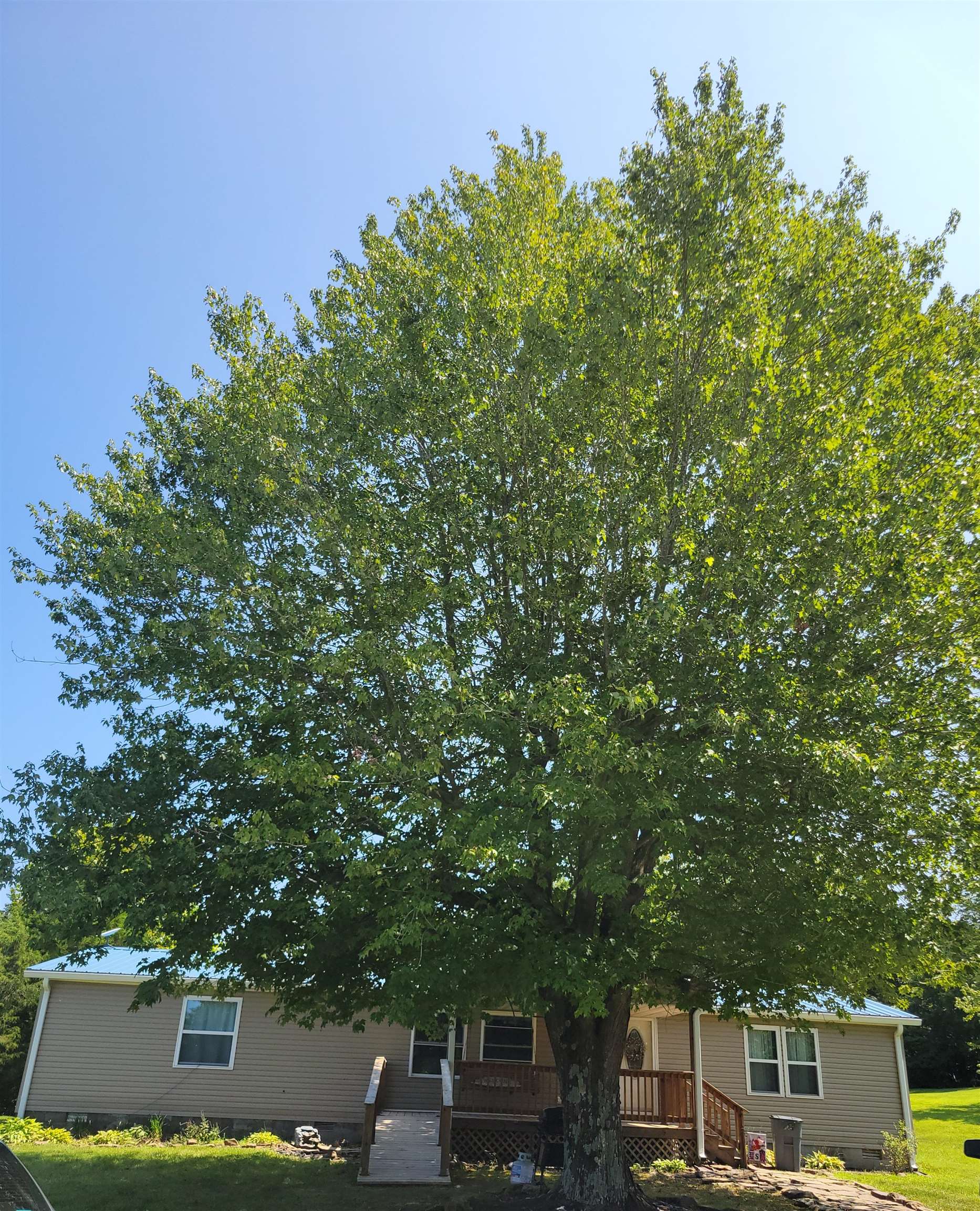 230 Shultz Road, Hartford, Kentucky 42347, 3 Bedrooms Bedrooms, ,2 BathroomsBathrooms,Single Family Residence,For Sale,Shultz Road,90465