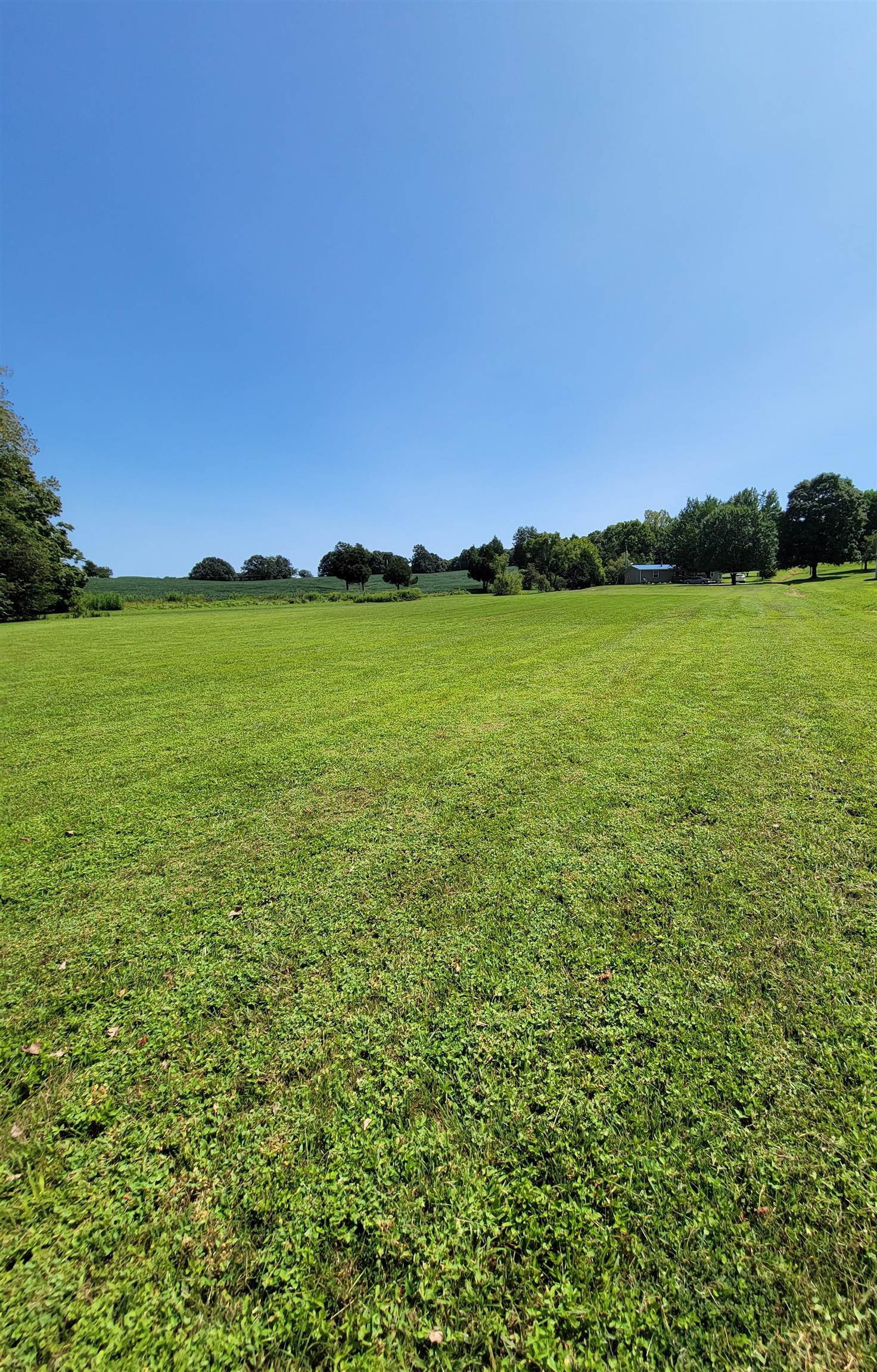 230 Shultz Road, Hartford, Kentucky 42347, 3 Bedrooms Bedrooms, ,2 BathroomsBathrooms,Single Family Residence,For Sale,Shultz Road,90465