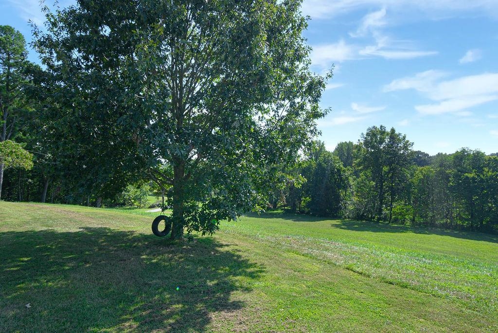 4316 US Hwy 231 N, Hartford, Kentucky 42347, 4 Bedrooms Bedrooms, ,1 BathroomBathrooms,Ranch,For Sale,US Hwy 231 N,90487