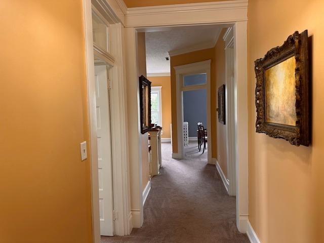 1542 Frederica Street, Owensboro, Kentucky 42301, 6 Bedrooms Bedrooms, ,3 BathroomsBathrooms,Single Family Residence,For Sale,Frederica Street,90489