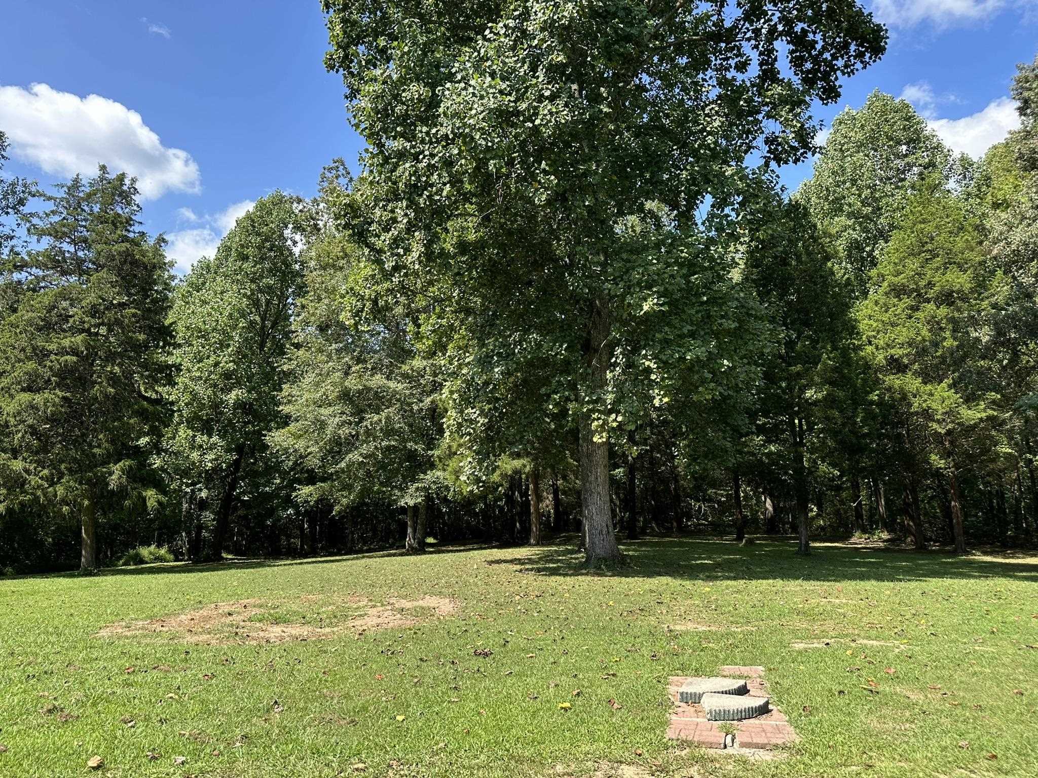 279 Caney Creek Lane, Drakesboro, Kentucky 42337, 3 Bedrooms Bedrooms, ,2 BathroomsBathrooms,Single Family Residence,For Sale,Caney Creek Lane,90521