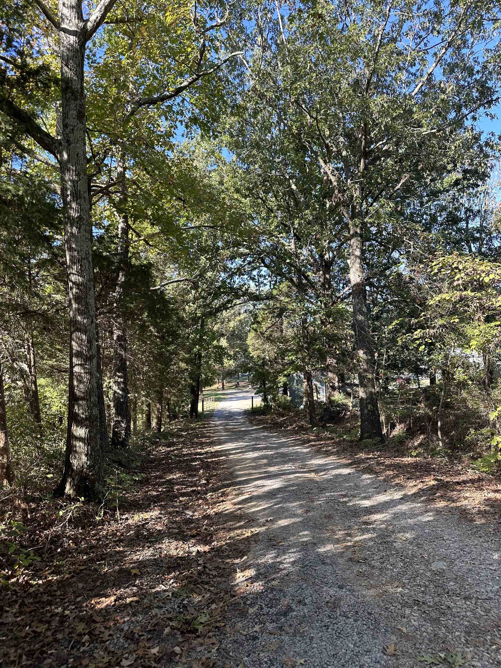 279 Caney Creek Lane, Drakesboro, Kentucky 42337, 3 Bedrooms Bedrooms, ,2 BathroomsBathrooms,Single Family Residence,For Sale,Caney Creek Lane,90521