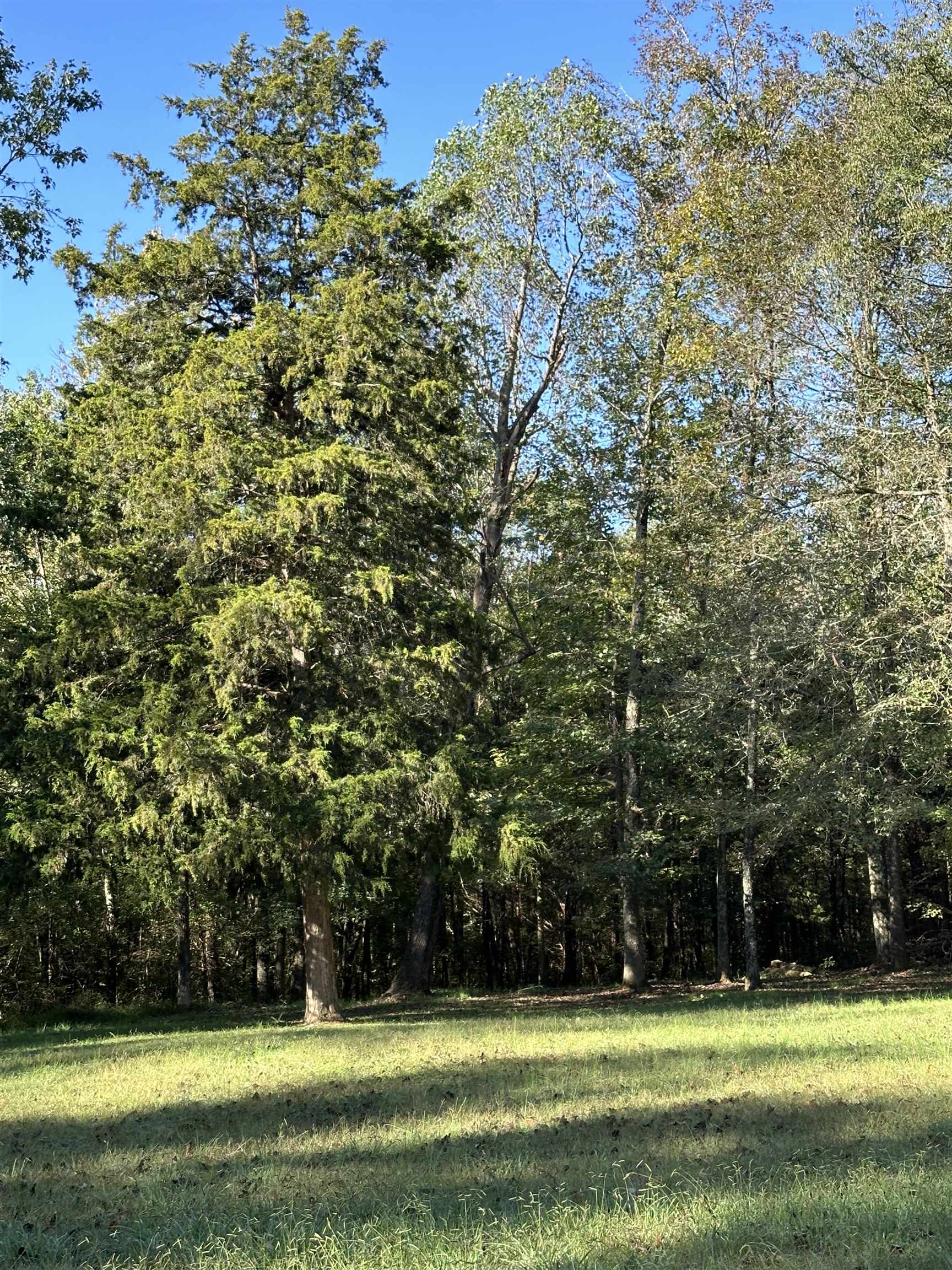 279 Caney Creek Lane, Drakesboro, Kentucky 42337, 3 Bedrooms Bedrooms, ,2 BathroomsBathrooms,Single Family Residence,For Sale,Caney Creek Lane,90521