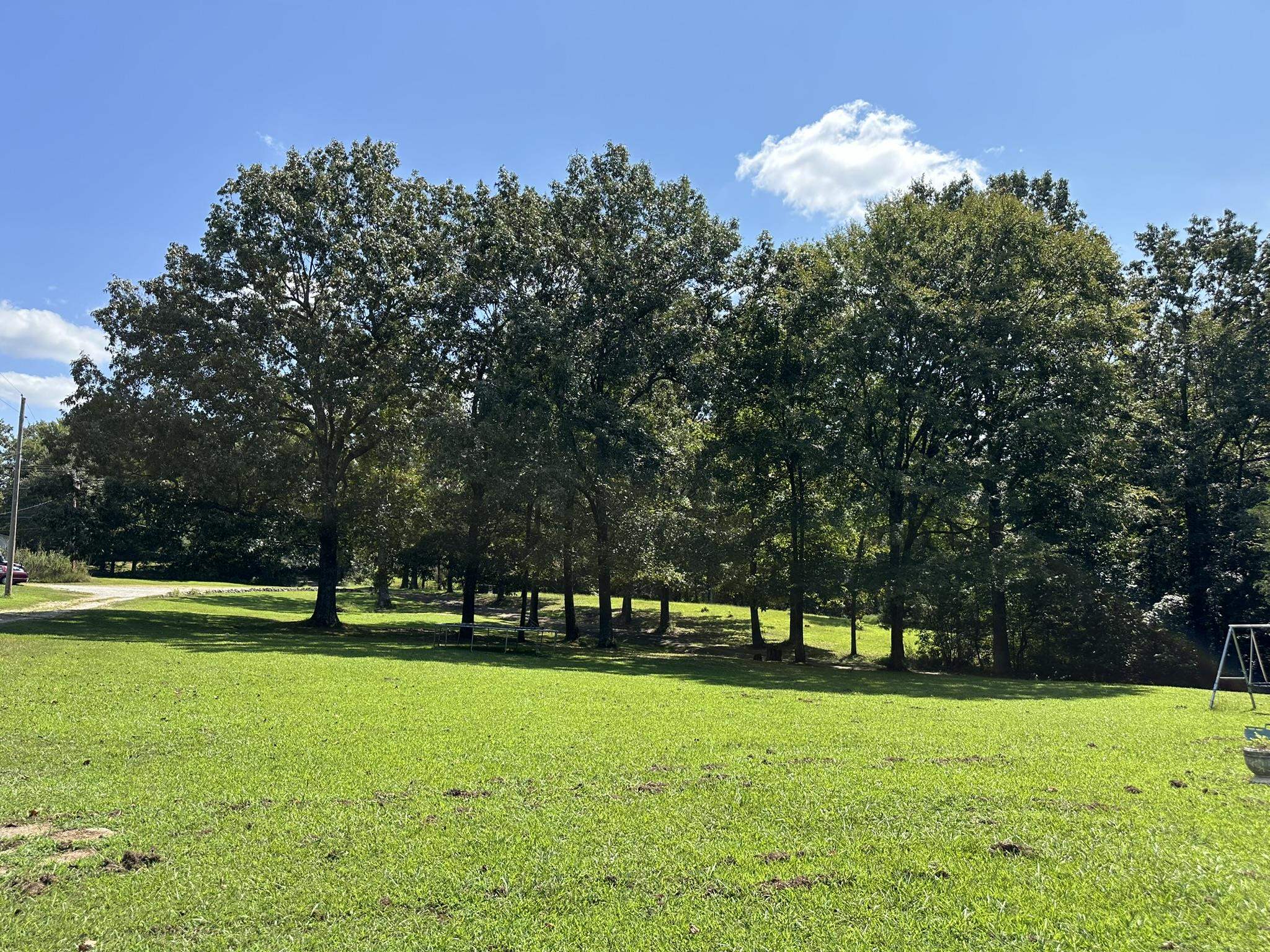 279 Caney Creek Lane, Drakesboro, Kentucky 42337, 3 Bedrooms Bedrooms, ,2 BathroomsBathrooms,Single Family Residence,For Sale,Caney Creek Lane,90521