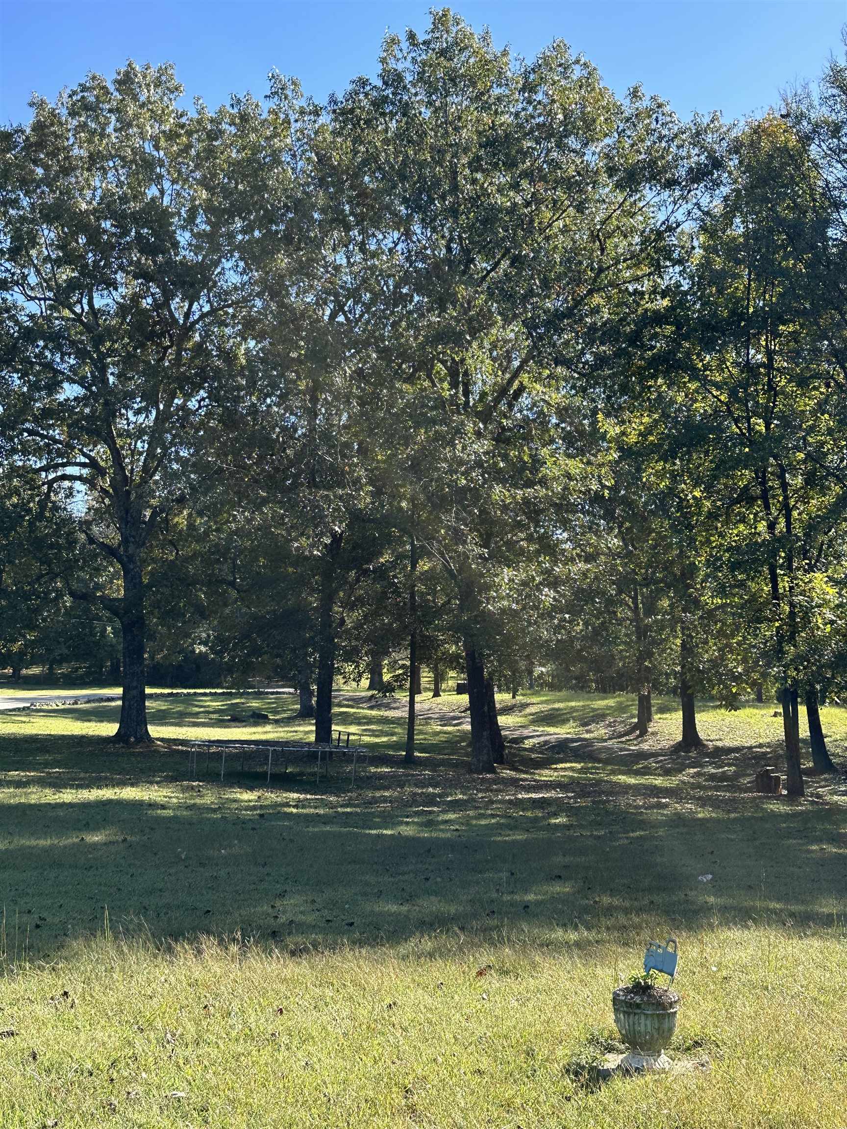 279 Caney Creek Lane, Drakesboro, Kentucky 42337, 3 Bedrooms Bedrooms, ,2 BathroomsBathrooms,Single Family Residence,For Sale,Caney Creek Lane,90521