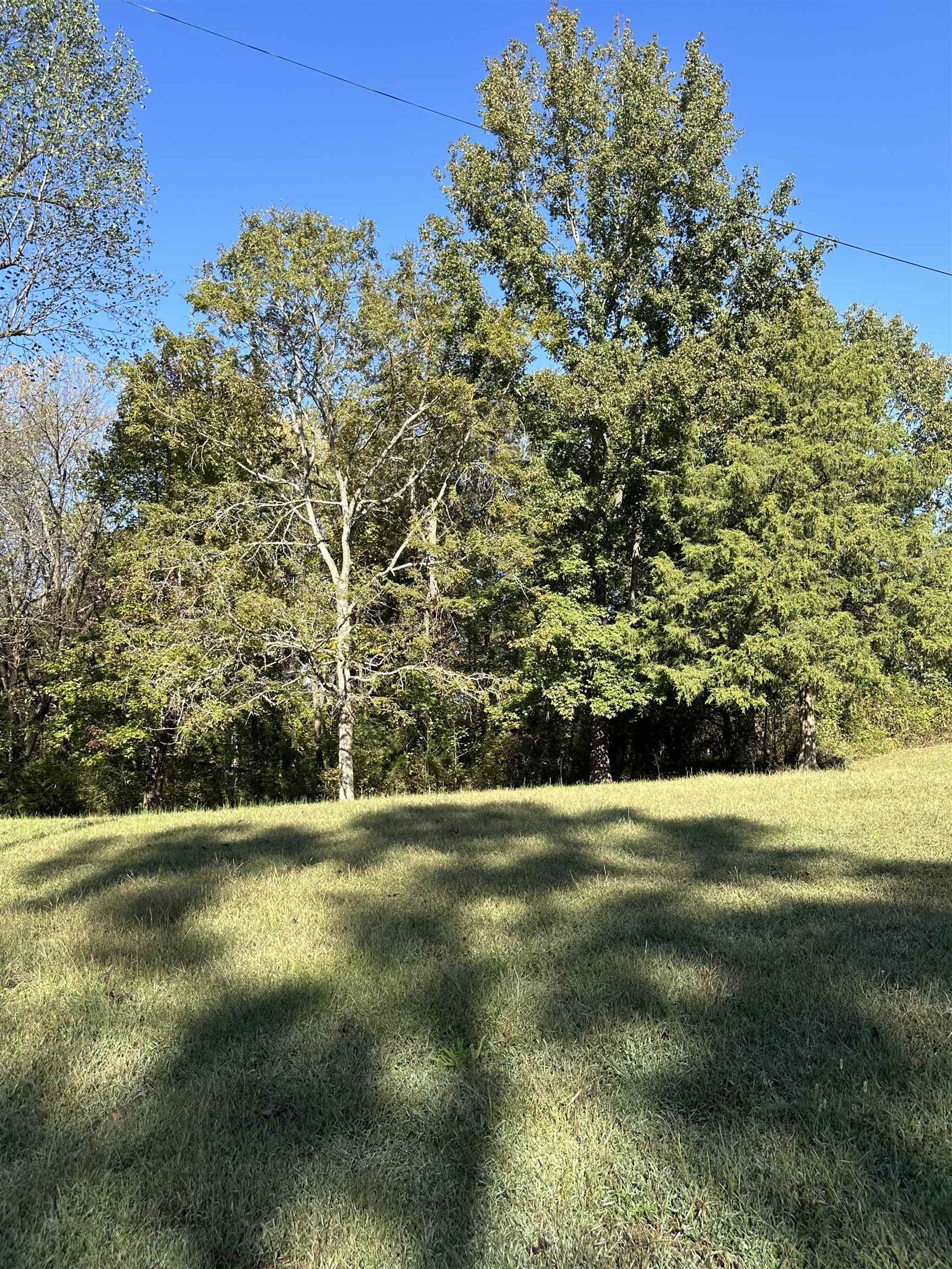 279 Caney Creek Lane, Drakesboro, Kentucky 42337, 3 Bedrooms Bedrooms, ,2 BathroomsBathrooms,Single Family Residence,For Sale,Caney Creek Lane,90521