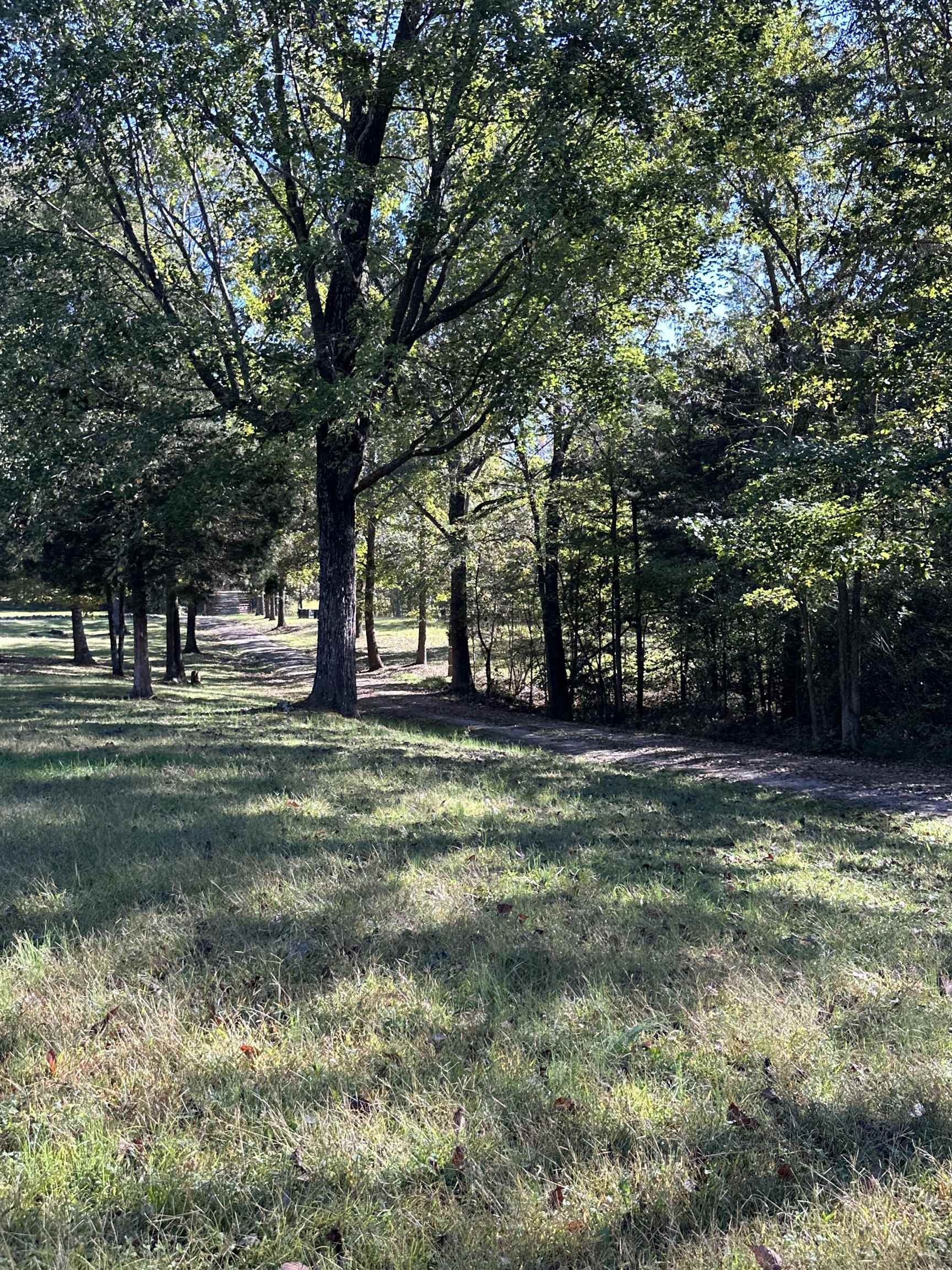 279 Caney Creek Lane, Drakesboro, Kentucky 42337, 3 Bedrooms Bedrooms, ,2 BathroomsBathrooms,Single Family Residence,For Sale,Caney Creek Lane,90521