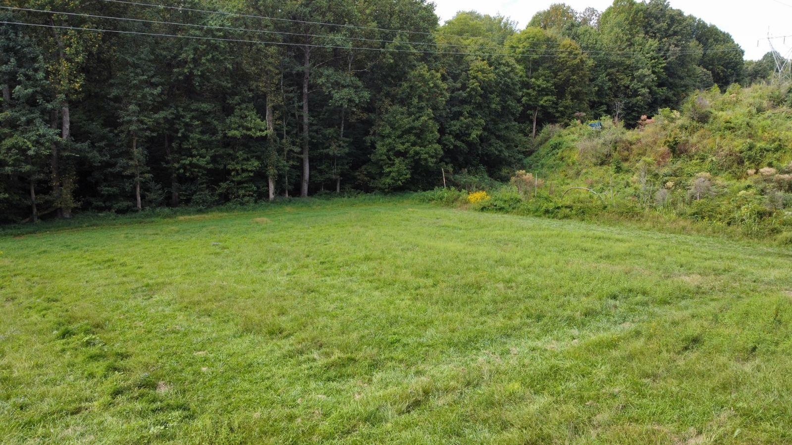 492 Buttermilk Ln, Beaver Dam, Kentucky 42320, ,Land,For Sale,Buttermilk Ln,90533