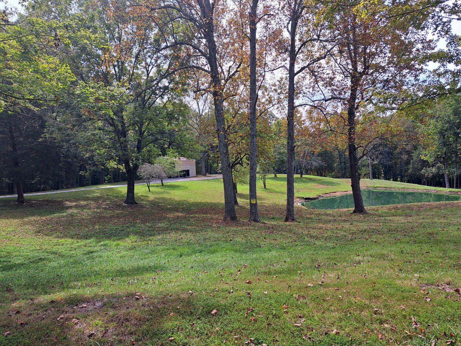 492 Buttermilk Ln, Beaver Dam, Kentucky 42320, ,Land,For Sale,Buttermilk Ln,90533