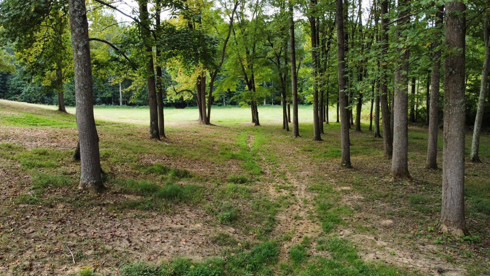 492 Buttermilk Ln, Beaver Dam, Kentucky 42320, ,Land,For Sale,Buttermilk Ln,90533