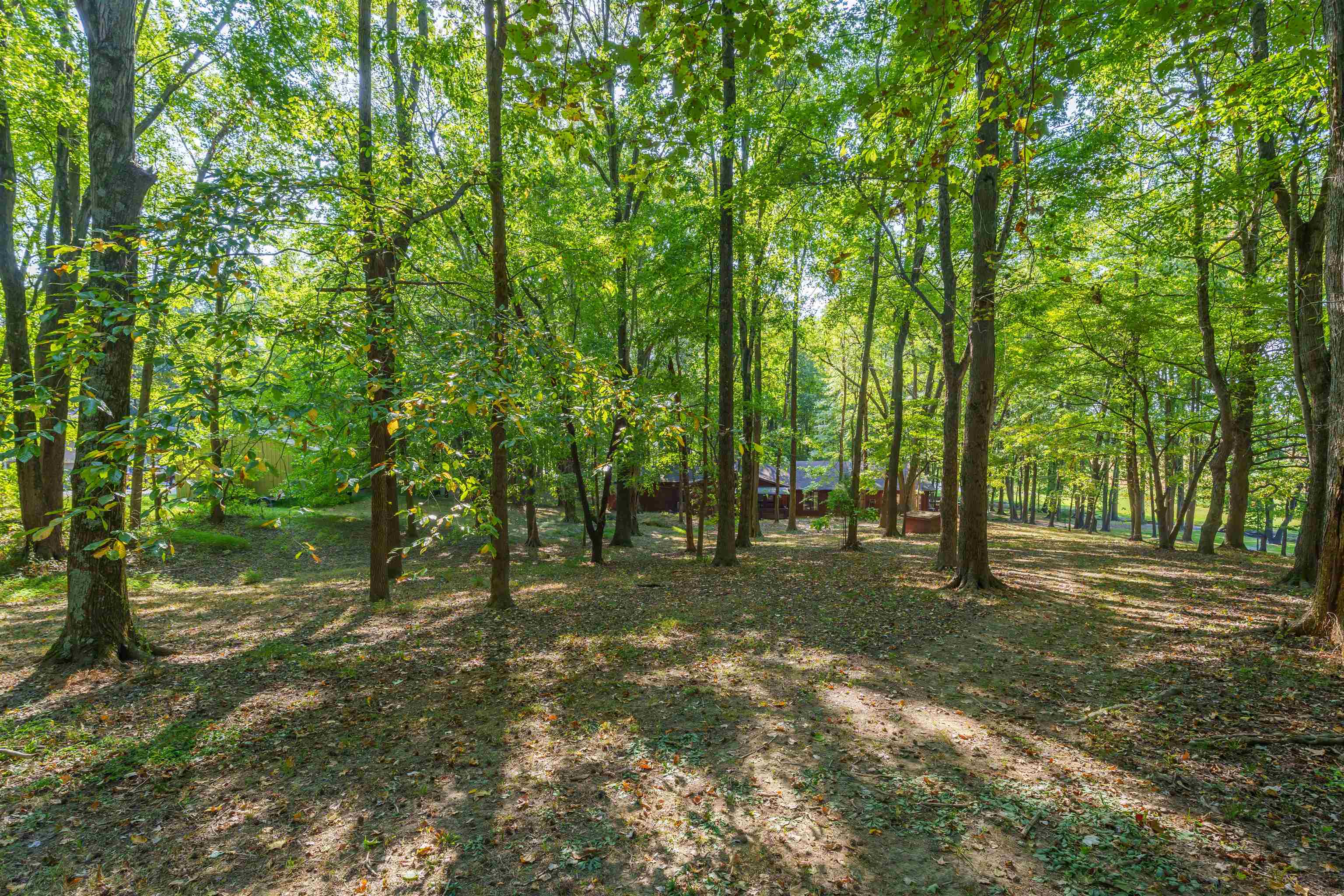 9435 HWY 231, Utica, Kentucky 42376, 4 Bedrooms Bedrooms, ,3 BathroomsBathrooms,Single Family Residence,For Sale,HWY 231,90535