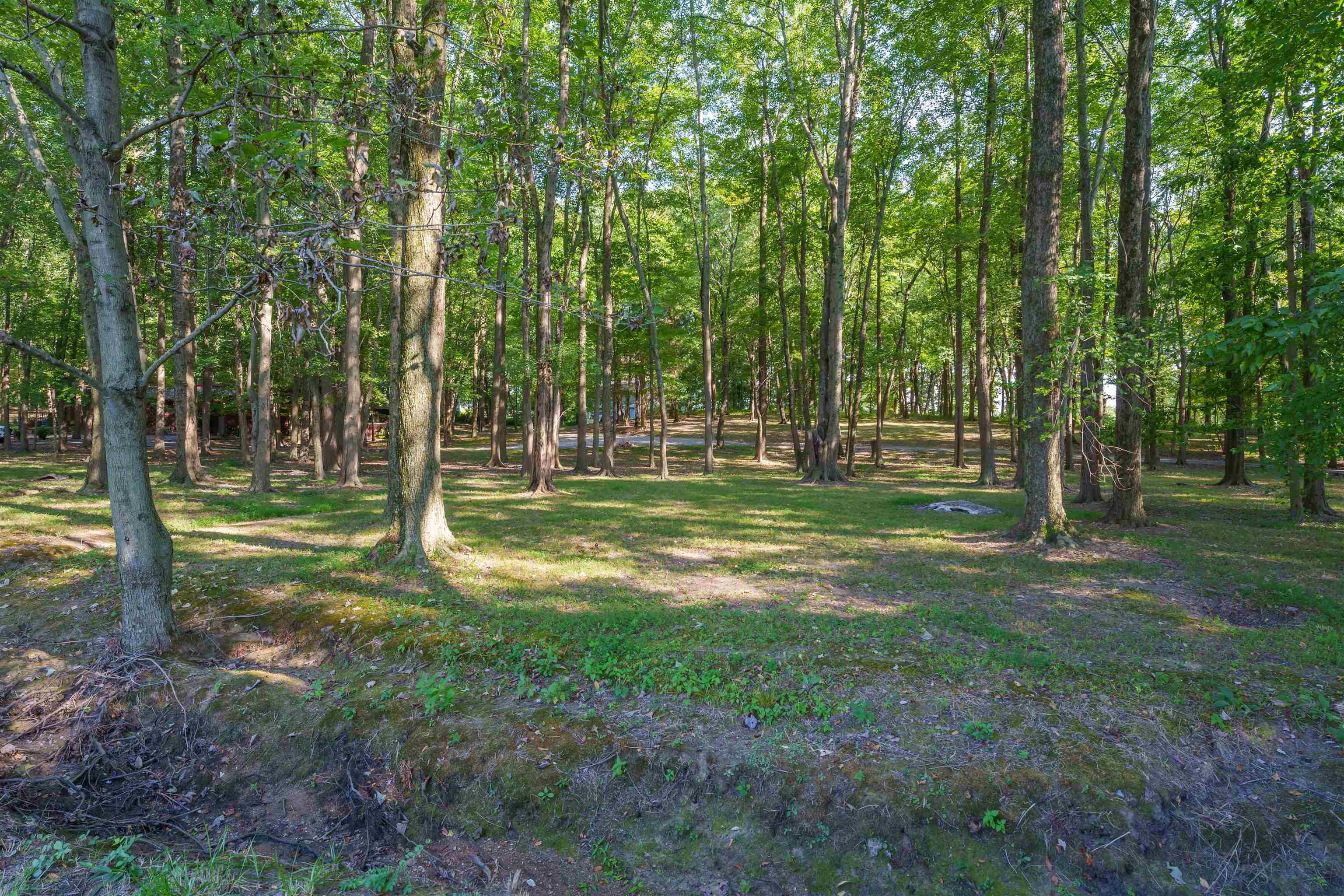 9435 HWY 231, Utica, Kentucky 42376, 4 Bedrooms Bedrooms, ,3 BathroomsBathrooms,Single Family Residence,For Sale,HWY 231,90535