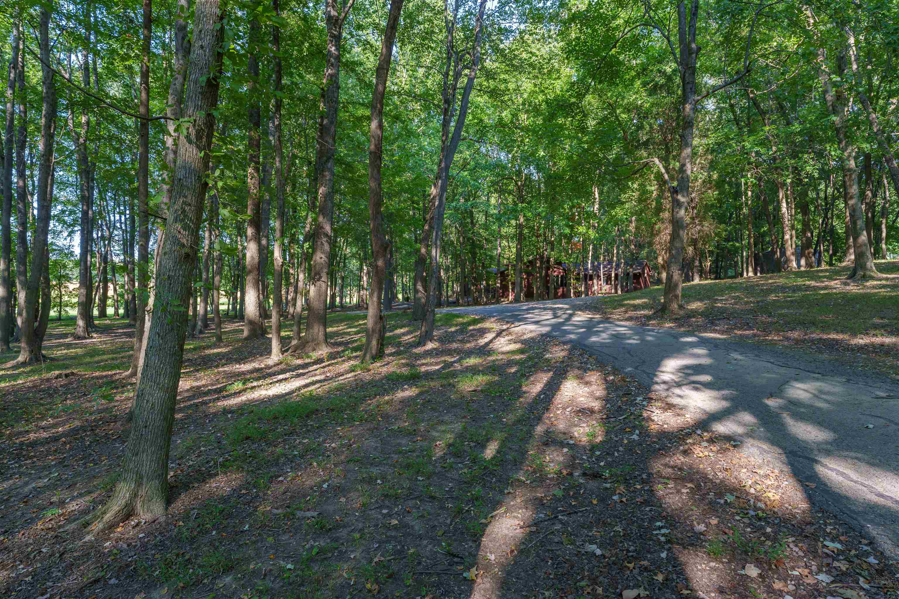 9435 HWY 231, Utica, Kentucky 42376, 4 Bedrooms Bedrooms, ,3 BathroomsBathrooms,Single Family Residence,For Sale,HWY 231,90535