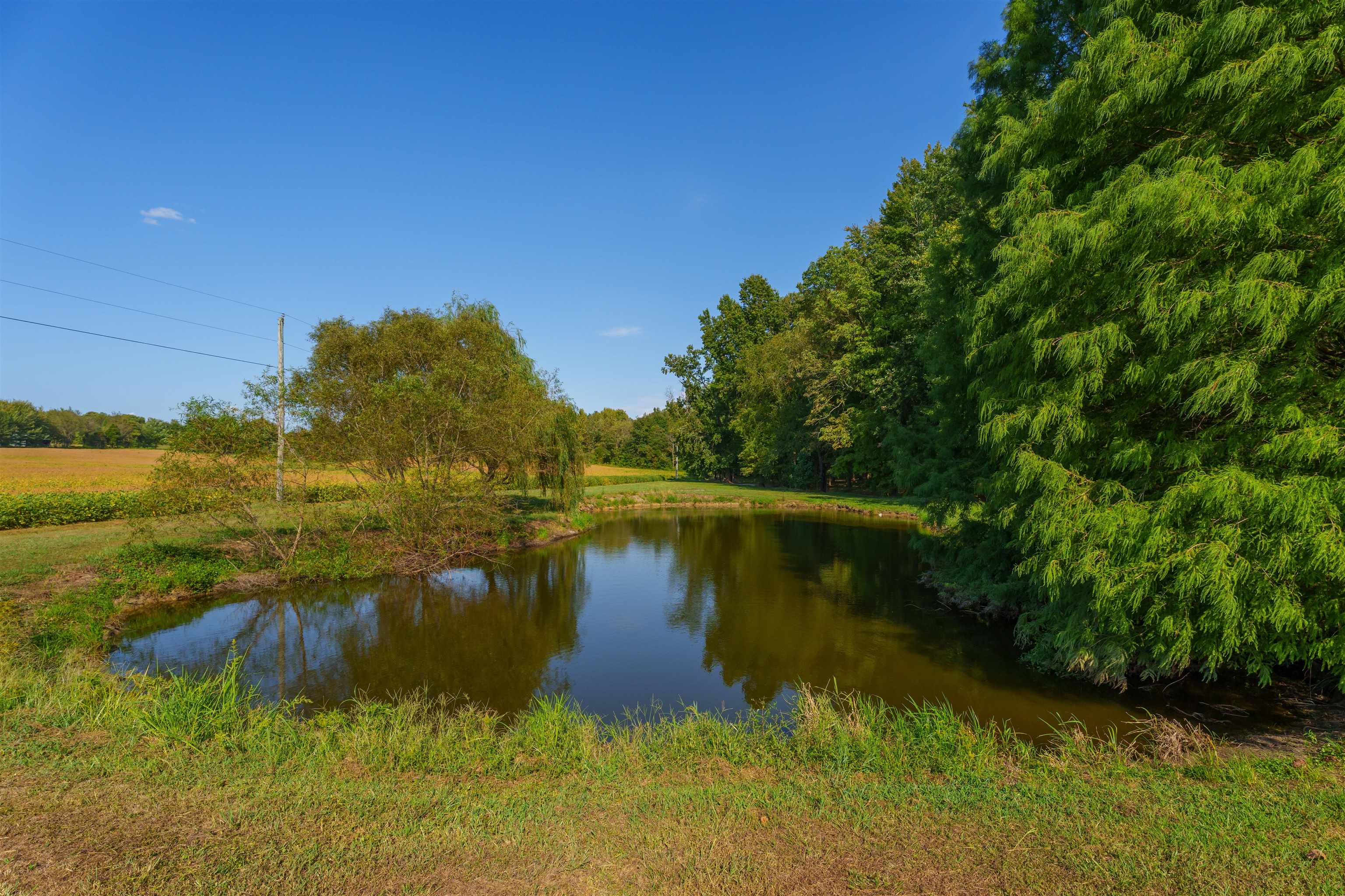 9435 HWY 231, Utica, Kentucky 42376, 4 Bedrooms Bedrooms, ,3 BathroomsBathrooms,Single Family Residence,For Sale,HWY 231,90535