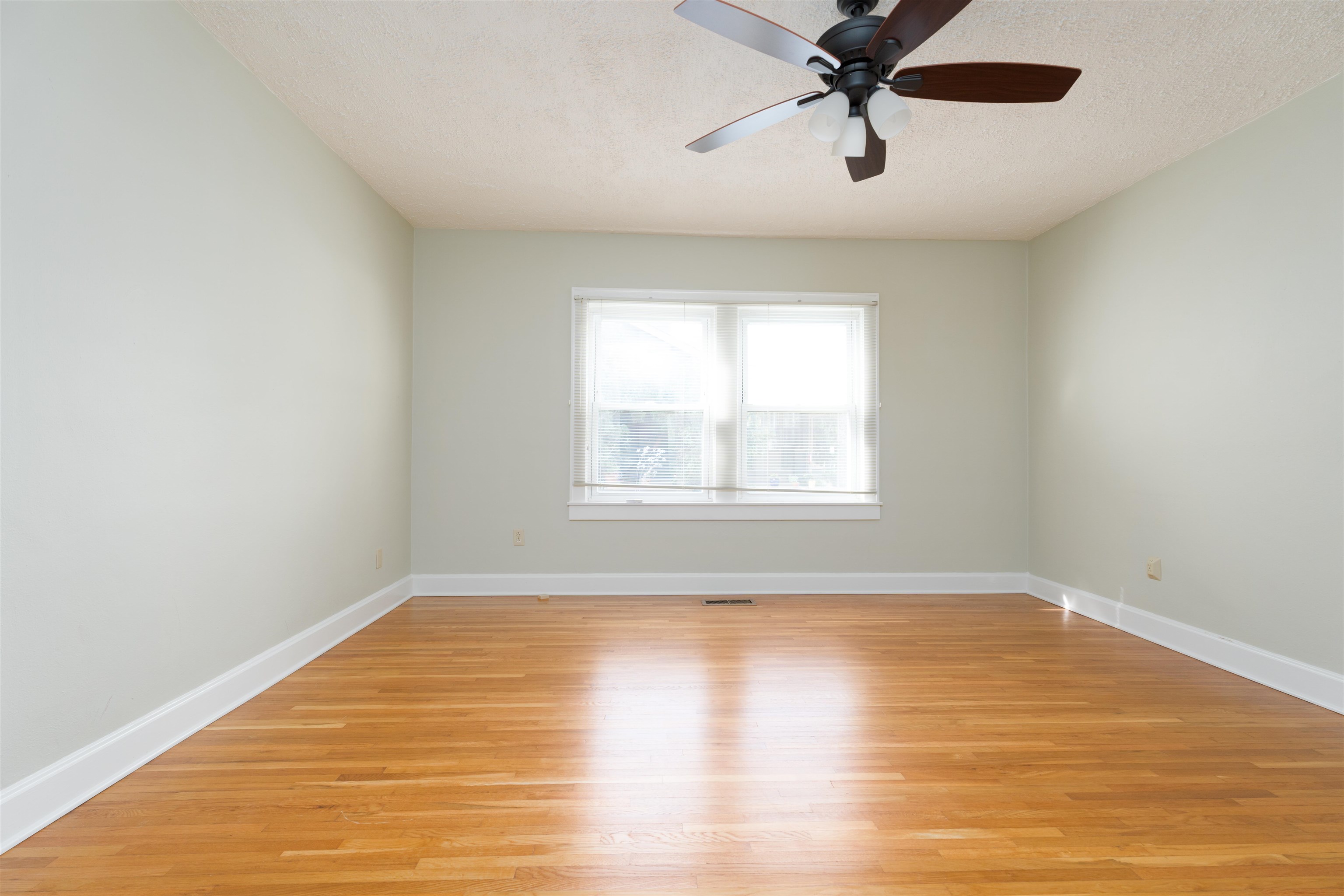 304 Stewart Ct., Owensboro, Kentucky 42303, 2 Bedrooms Bedrooms, ,1 BathroomBathrooms,Single Family Residence,For Sale,Stewart Ct.,90541