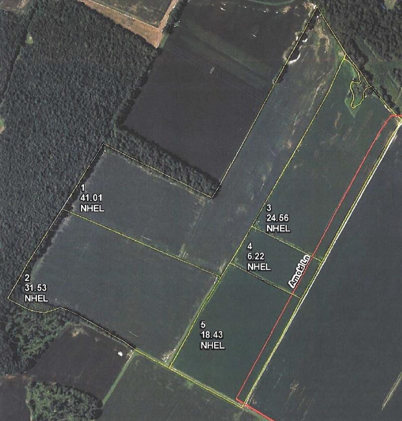 Jim Daniels Road, Island, Kentucky 42350, ,Farm,For Sale,Jim Daniels Road,90577