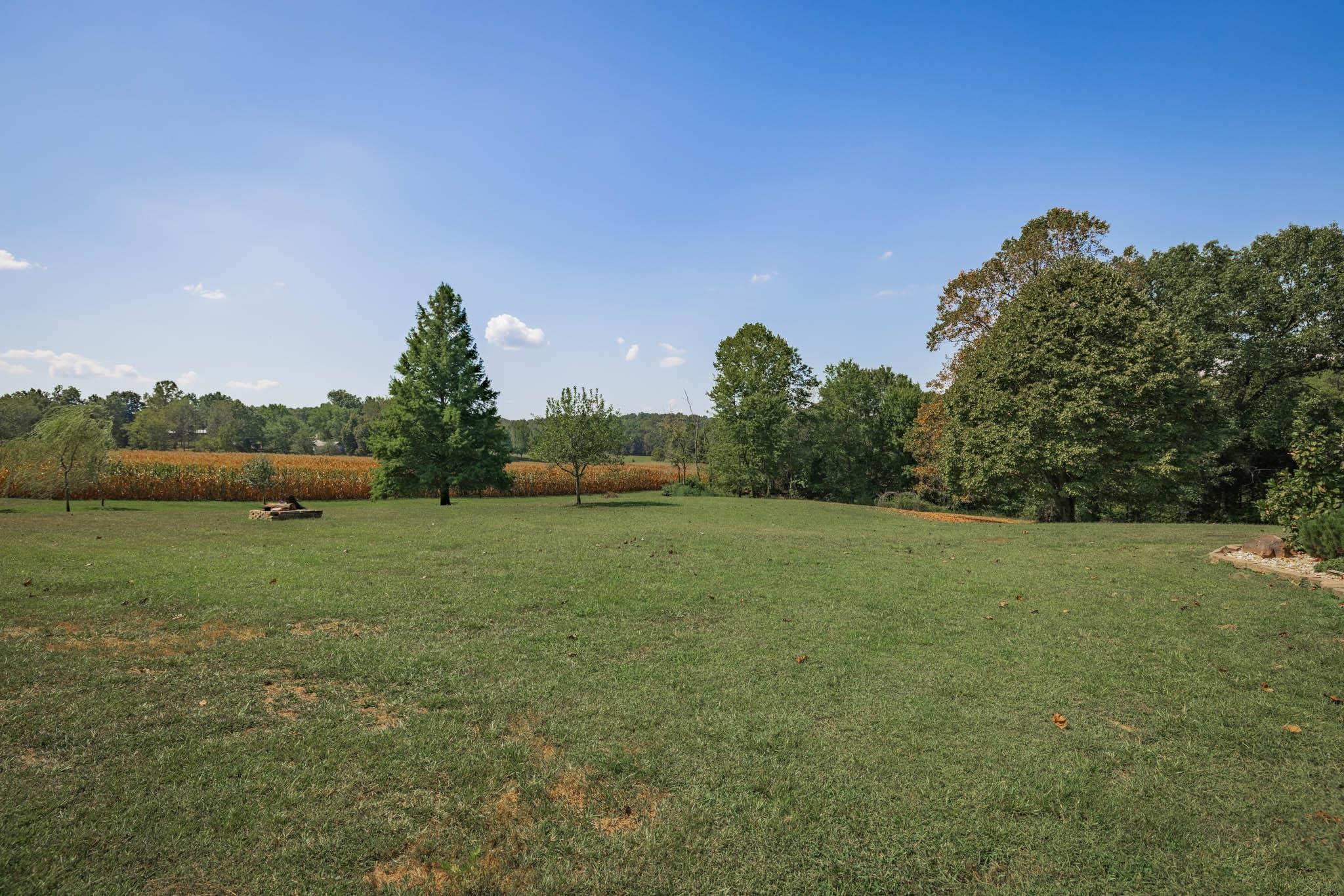 172 Truman Young Road, Hawesville, Kentucky 42348-172, 3 Bedrooms Bedrooms, ,2 BathroomsBathrooms,Single Family Residence,For Sale,Truman Young Road,90585