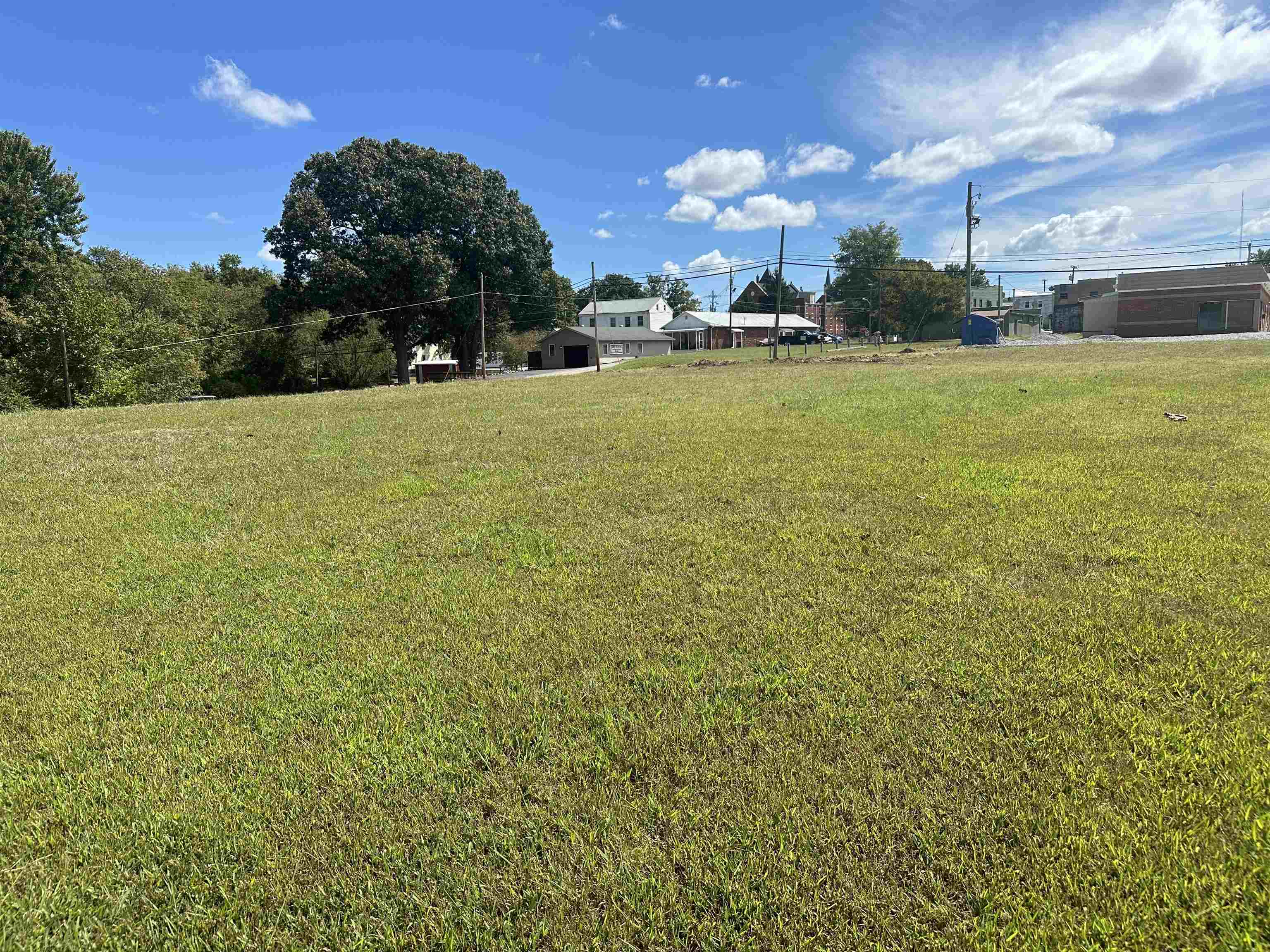 133 Main Street, Hartford, Kentucky 42347, ,Unimproved Land,For Sale,Main Street,90632