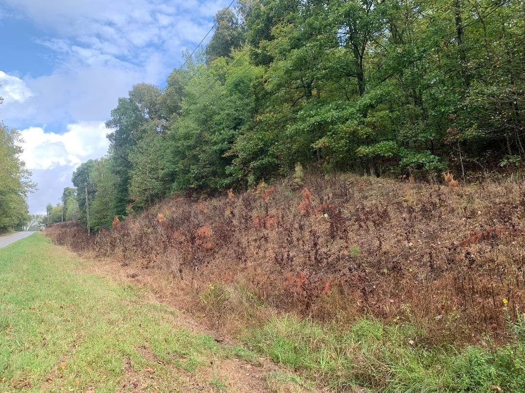 0 State Route 1414, Hartford, Kentucky 42378, ,Farm,For Sale,State Route 1414,90718