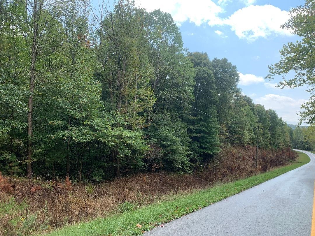 0 State Route 1414, Hartford, Kentucky 42378, ,Farm,For Sale,State Route 1414,90718
