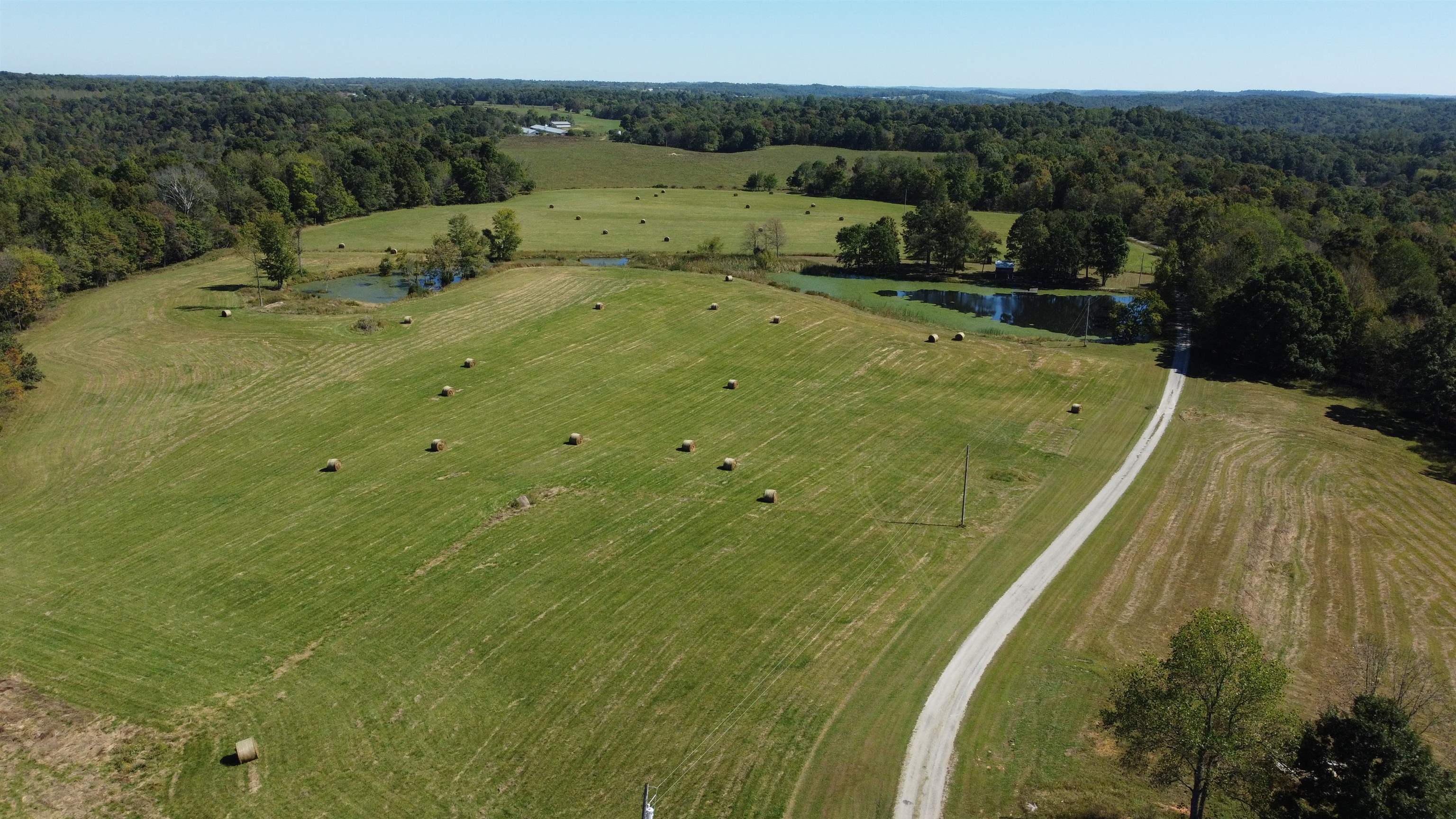 1302 French Meyers Lane, Irvington, Kentucky 40146, 4 Bedrooms Bedrooms, ,3 BathroomsBathrooms,Farm,For Sale,French Meyers Lane,90752