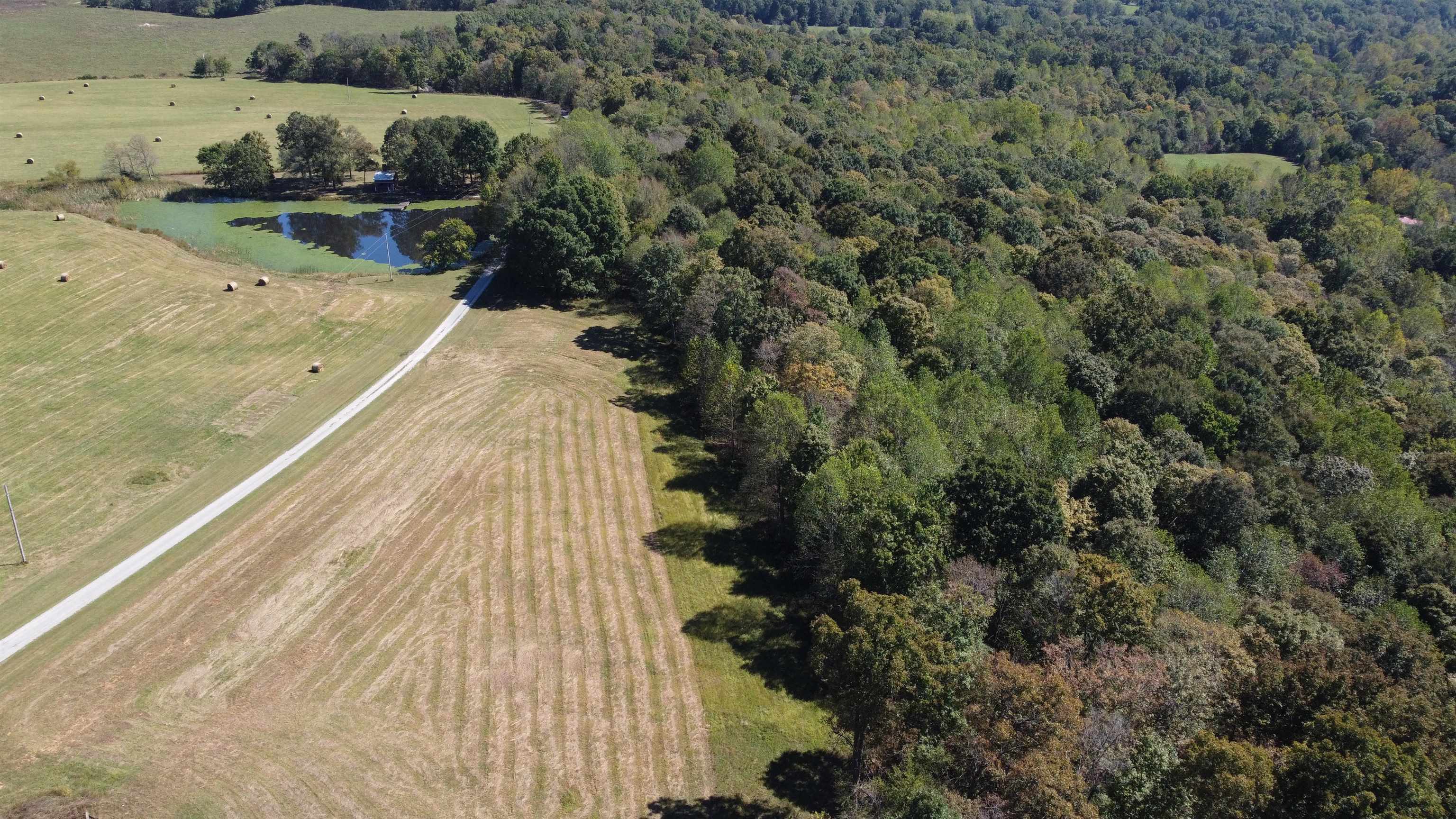 1302 French Meyers Lane, Irvington, Kentucky 40146, 4 Bedrooms Bedrooms, ,3 BathroomsBathrooms,Farm,For Sale,French Meyers Lane,90752