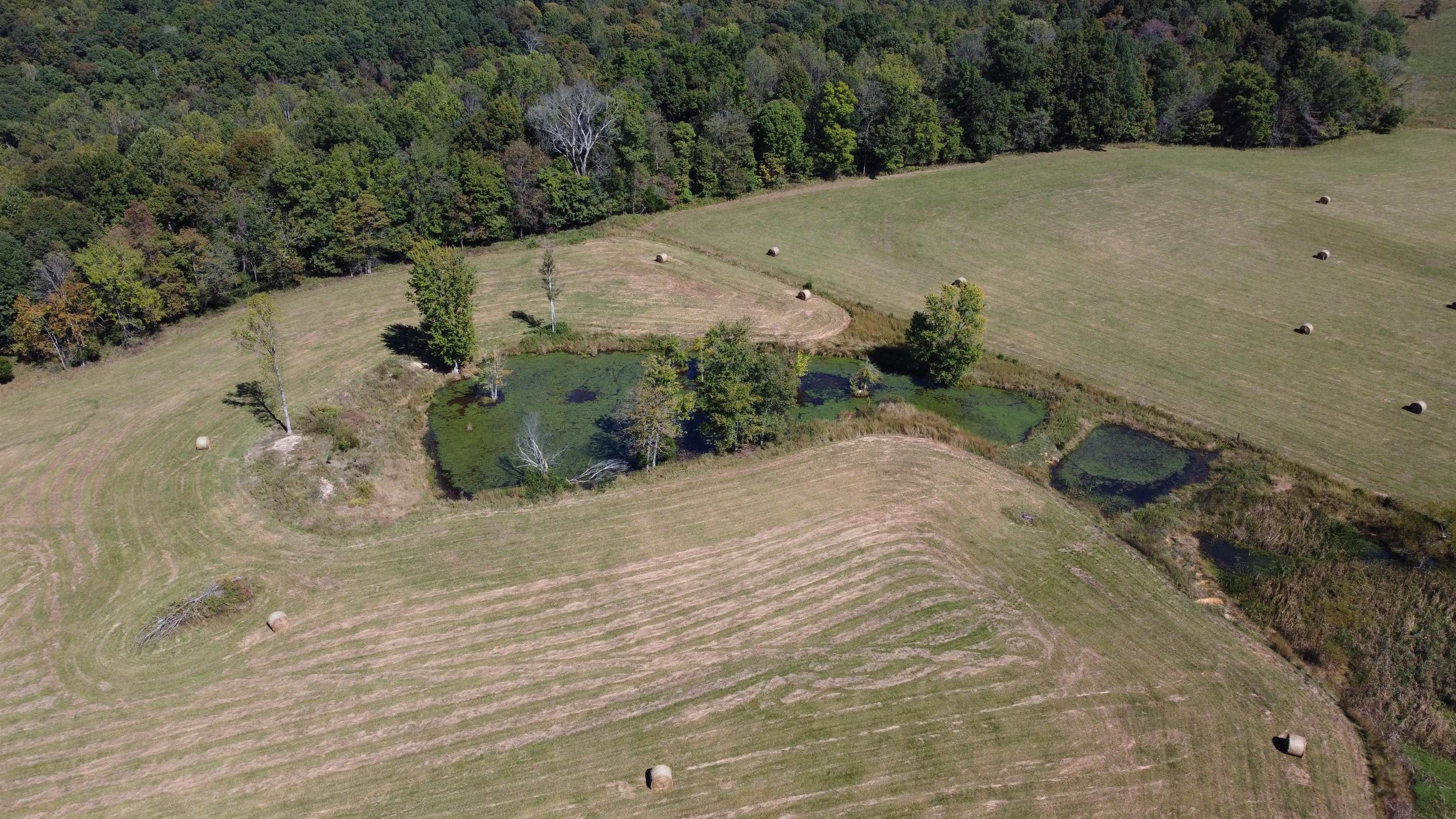 1302 French Meyers Lane, Irvington, Kentucky 40146, 4 Bedrooms Bedrooms, ,3 BathroomsBathrooms,Farm,For Sale,French Meyers Lane,90752