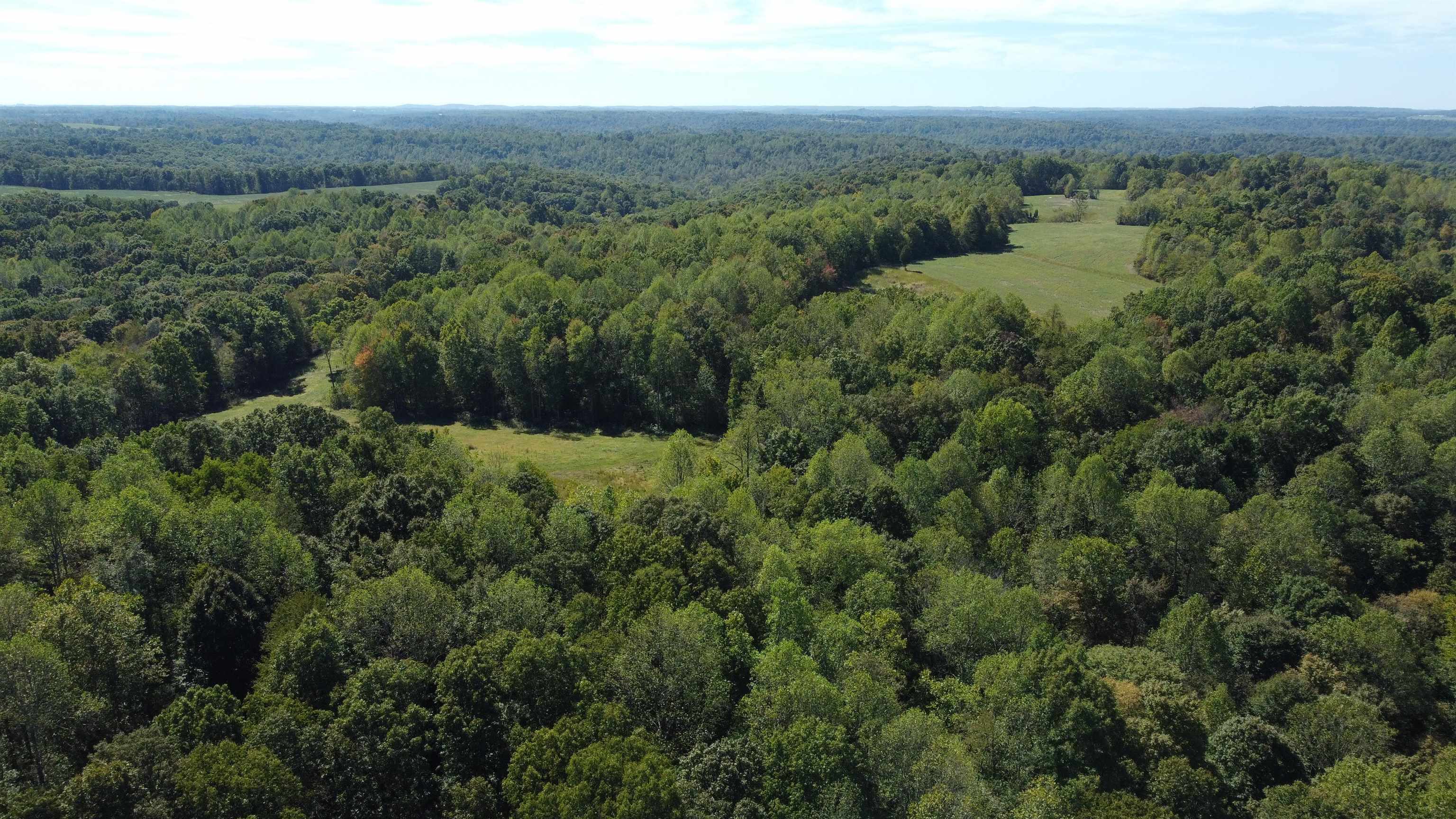 1302 French Meyers Lane, Irvington, Kentucky 40146, 4 Bedrooms Bedrooms, ,3 BathroomsBathrooms,Farm,For Sale,French Meyers Lane,90752