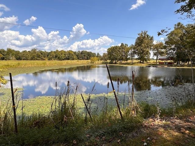 1302 French Meyers Lane, Irvington, Kentucky 40146, 4 Bedrooms Bedrooms, ,3 BathroomsBathrooms,Farm,For Sale,French Meyers Lane,90752